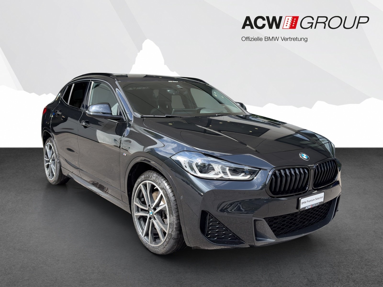 BMW X2 20i, Benzina, Occasioni / Usate, Automatico - 7