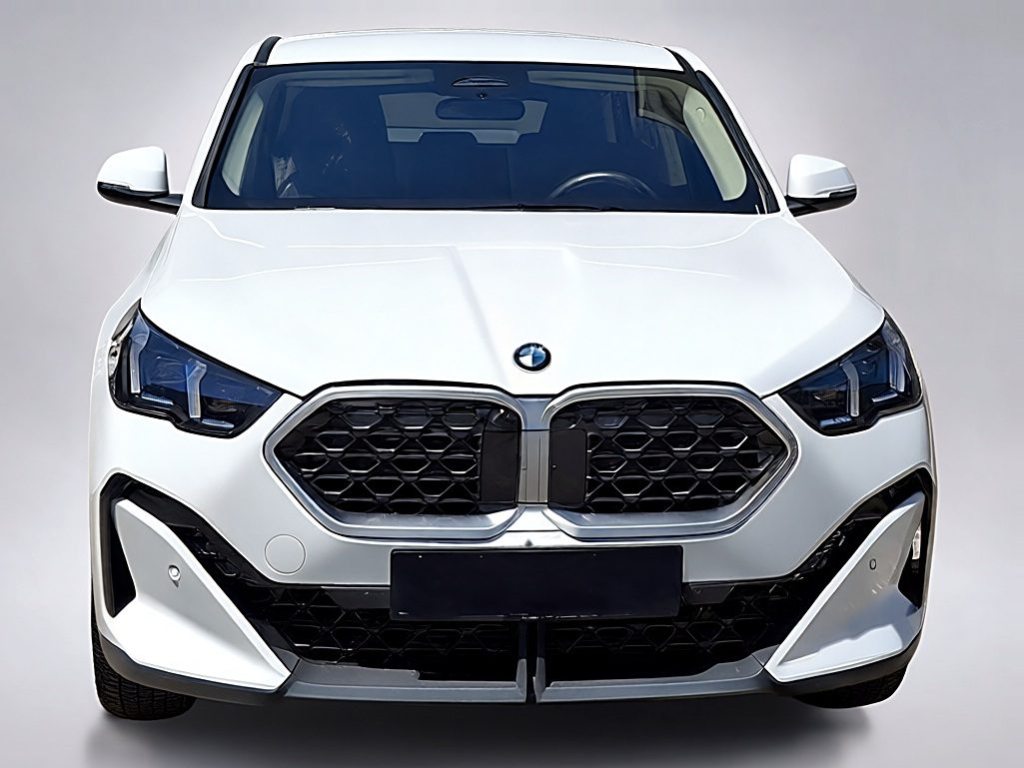 BMW X2 20i sDrive, Hybride Leggero Benzina/Elettrica, Occasioni / Usate, Automatico - 2