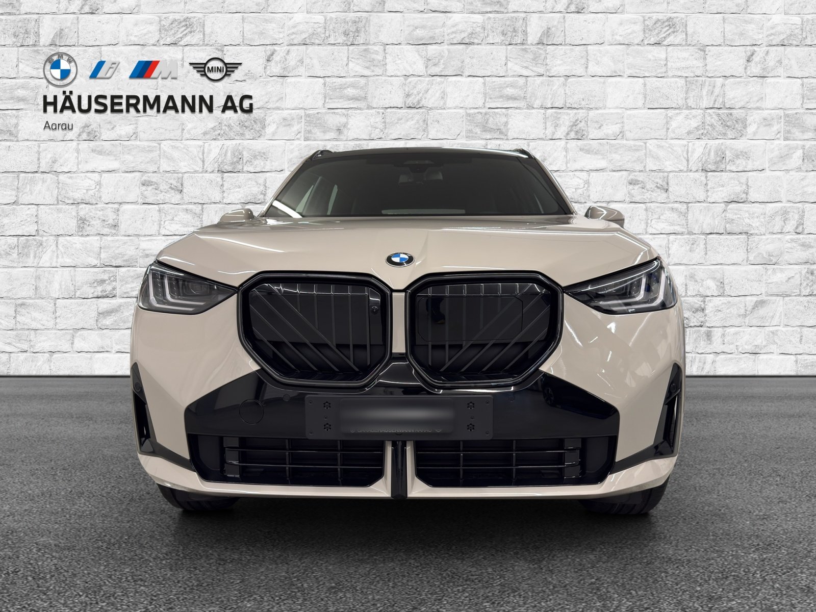 BMW X3 30e M Sport, Plug-in-Hybrid Benzina/Elettrica, Auto nuove, Automatico - 2