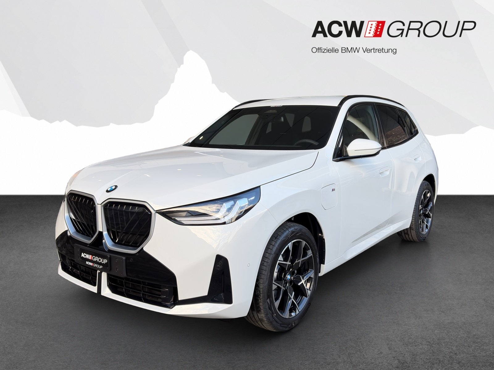 BMW X3 30e