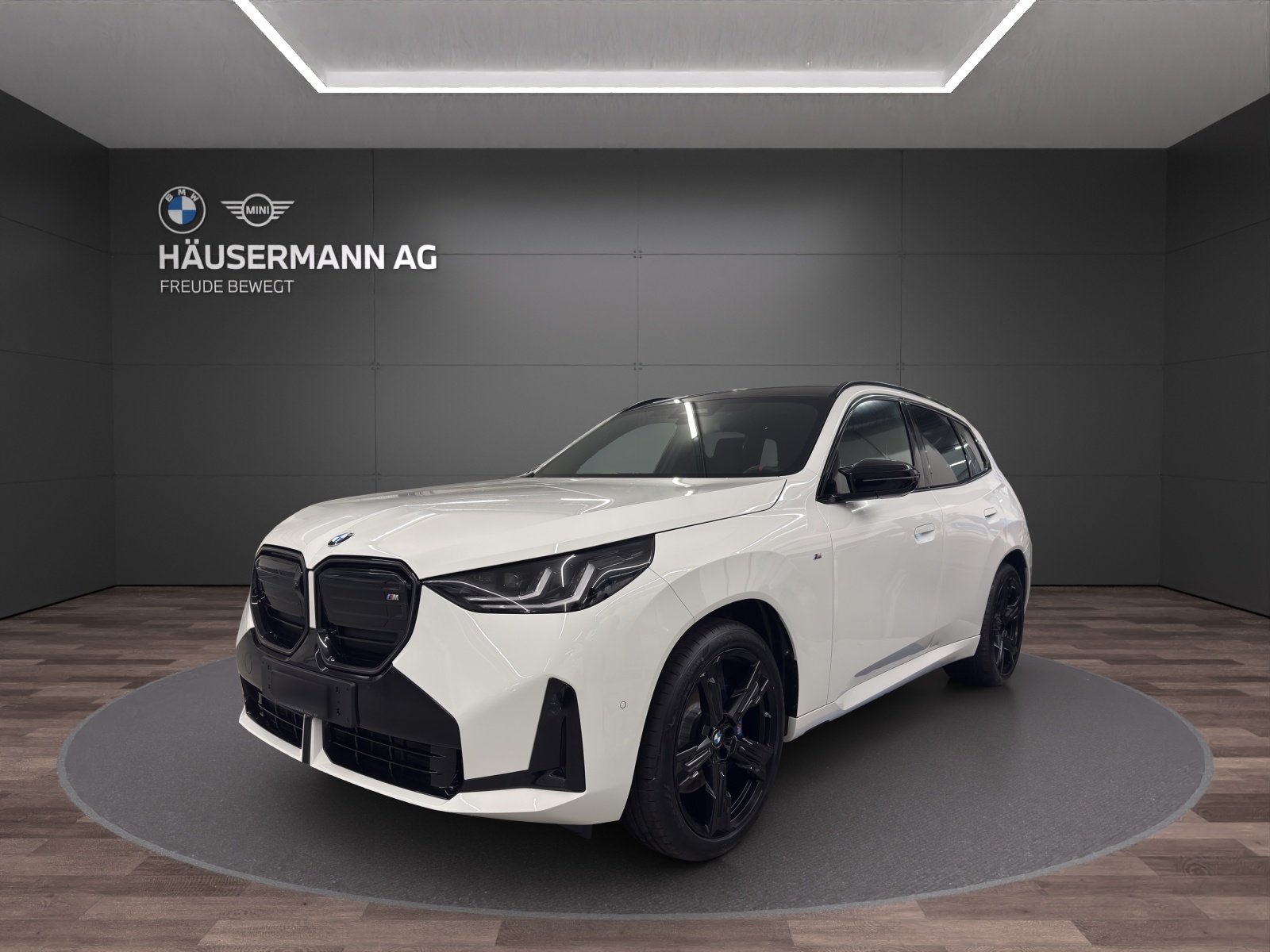 BMW X3 M50 48V