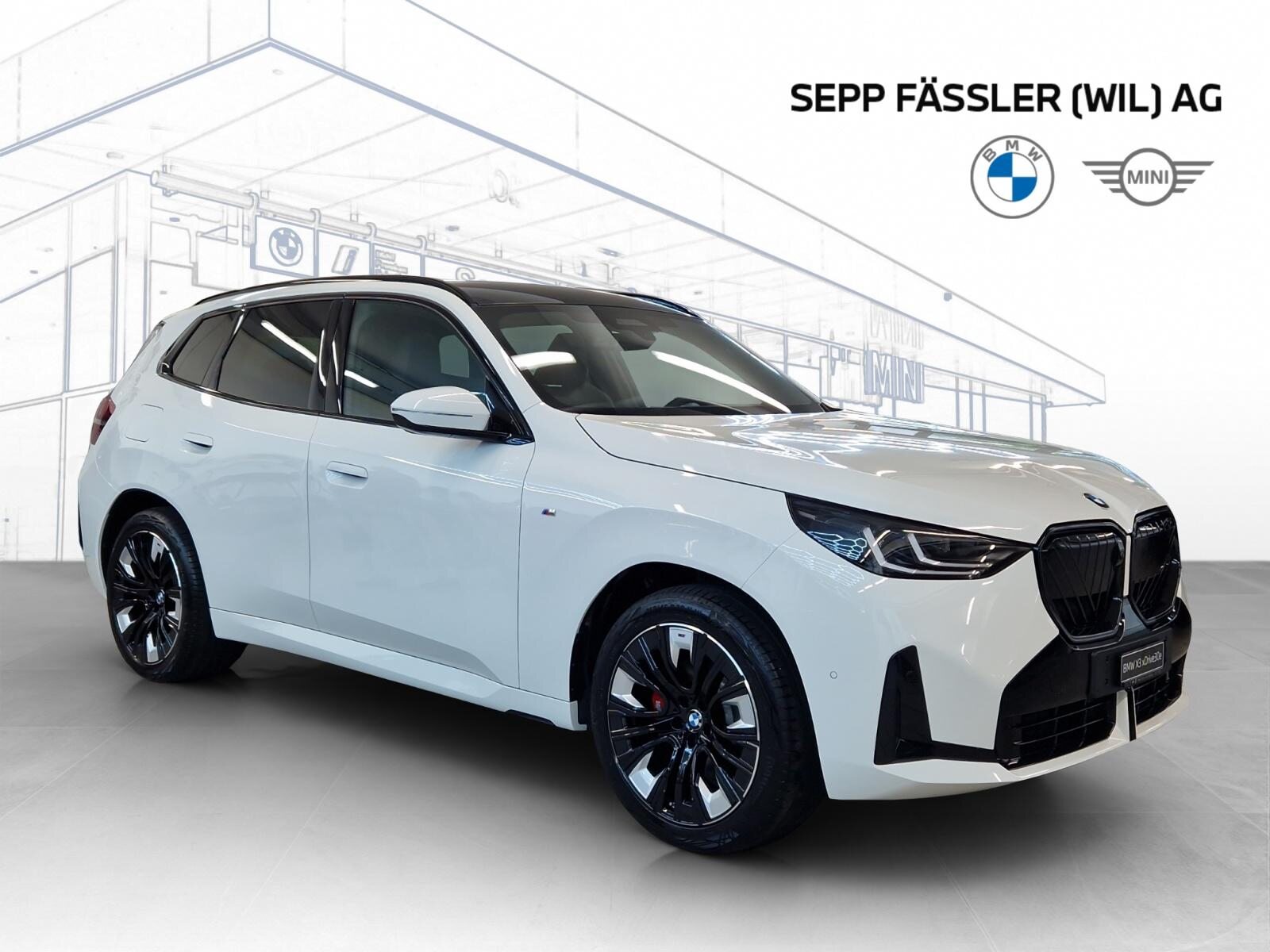 BMW X3 30e xDrive M Sport Pro, Plug-in-Hybrid Benzina/Elettrica, Auto nuove, Automatico - 7