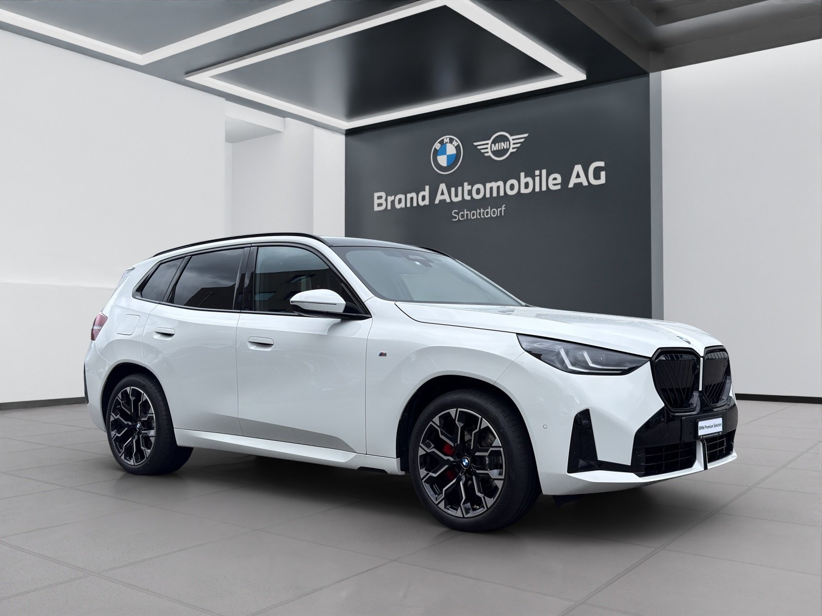 BMW X3 20d, Hybride Leggero Diesel/Elettrica, Occasioni / Usate, Automatico - 7