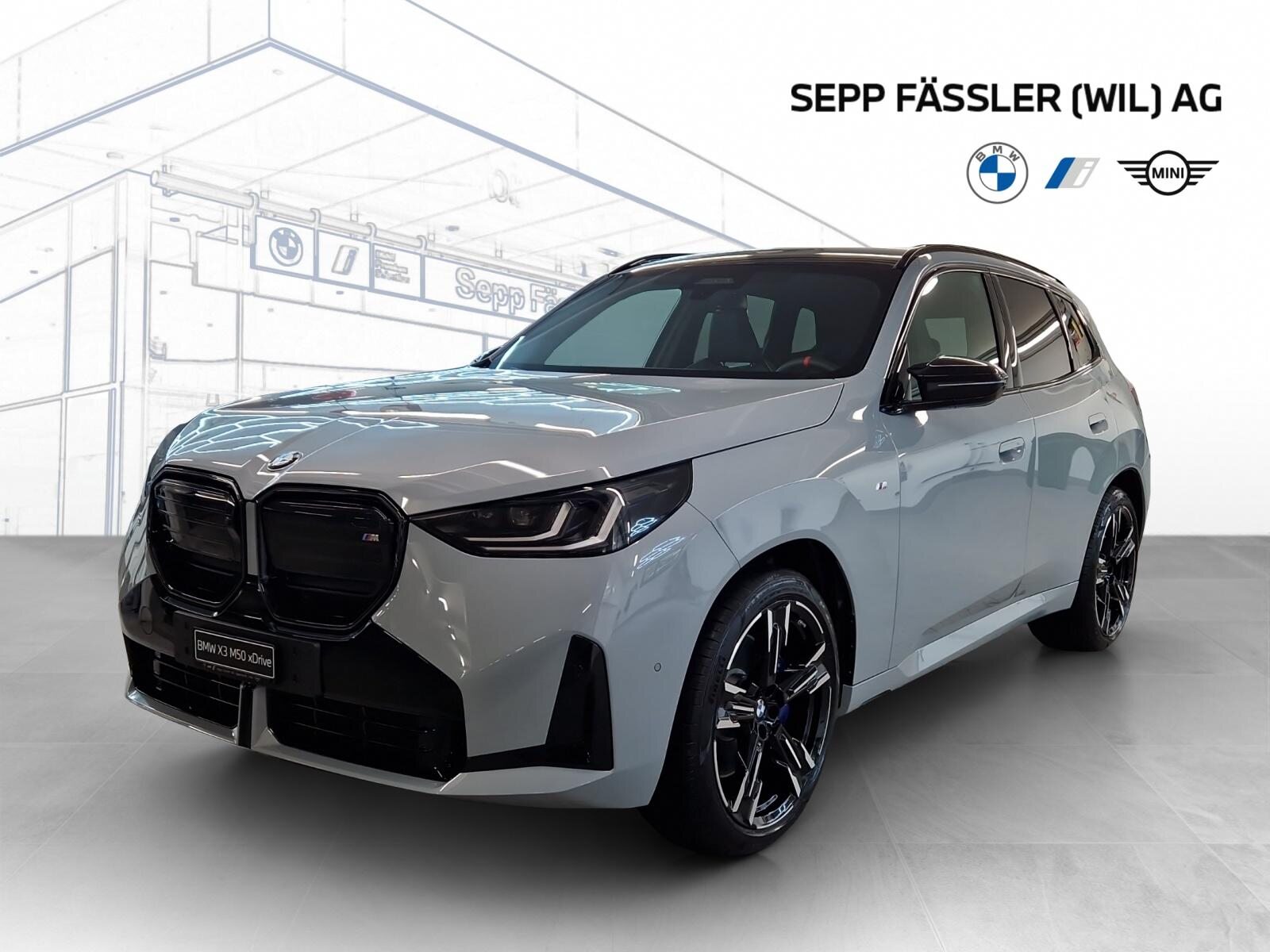 BMW X3