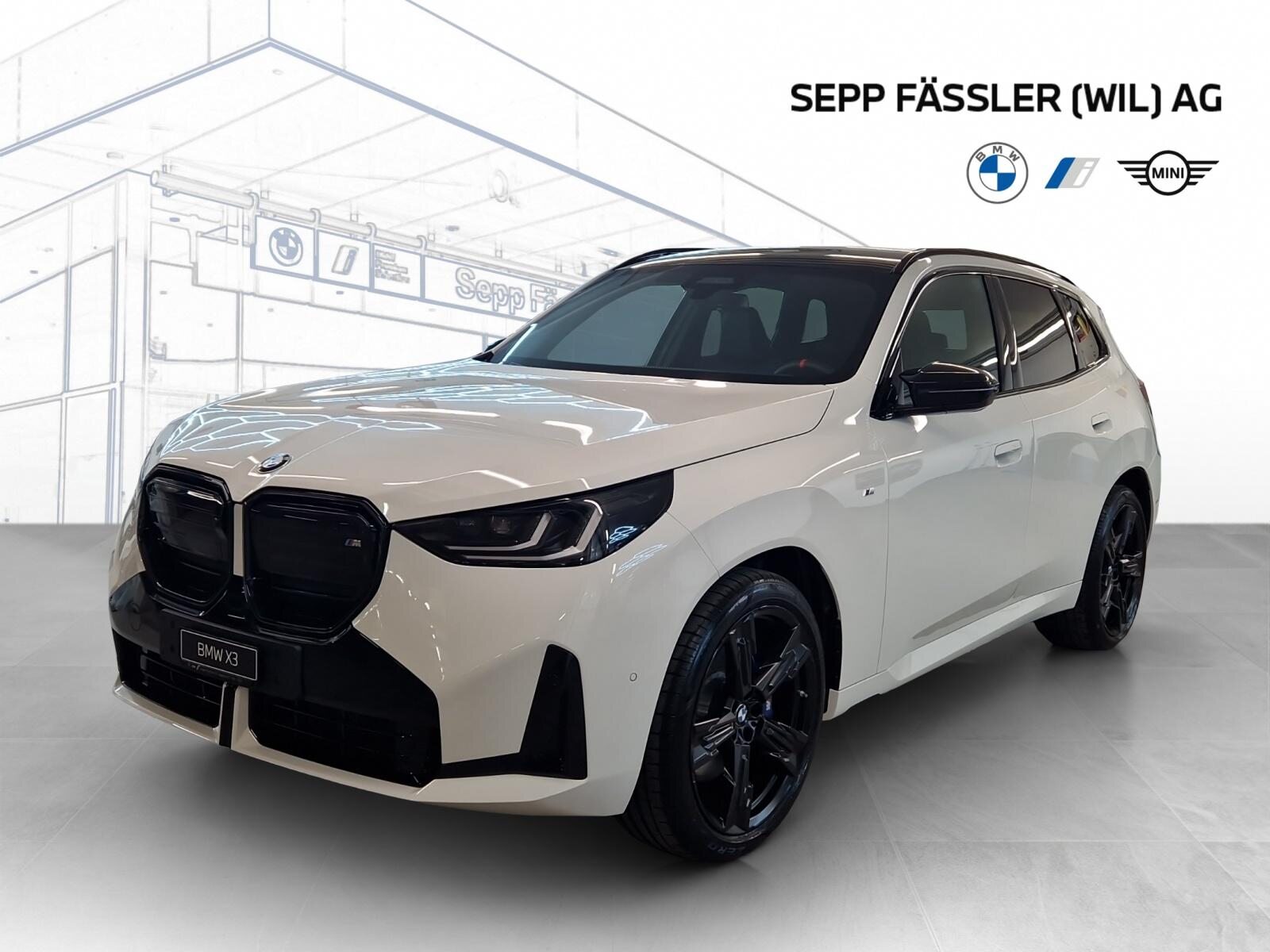 BMW X3