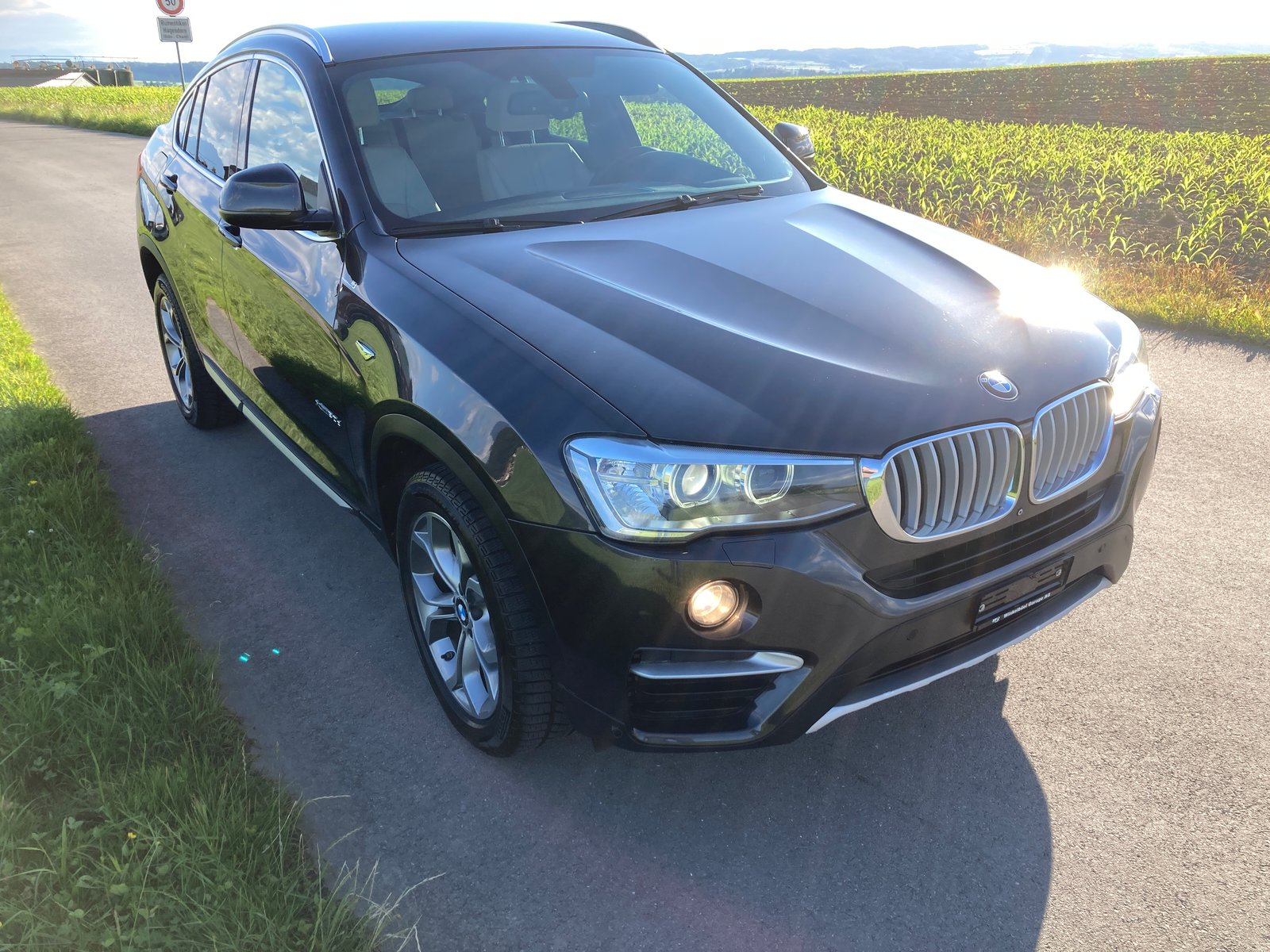 BMW X4 30d xLine Steptronic, Diesel, Occasioni / Usate, Automatico - 2