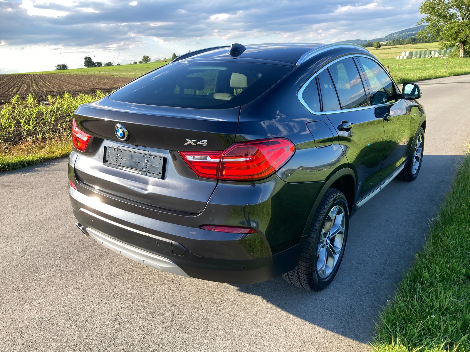 BMW X4 30d xLine Steptronic, Diesel, Occasioni / Usate, Automatico - 3