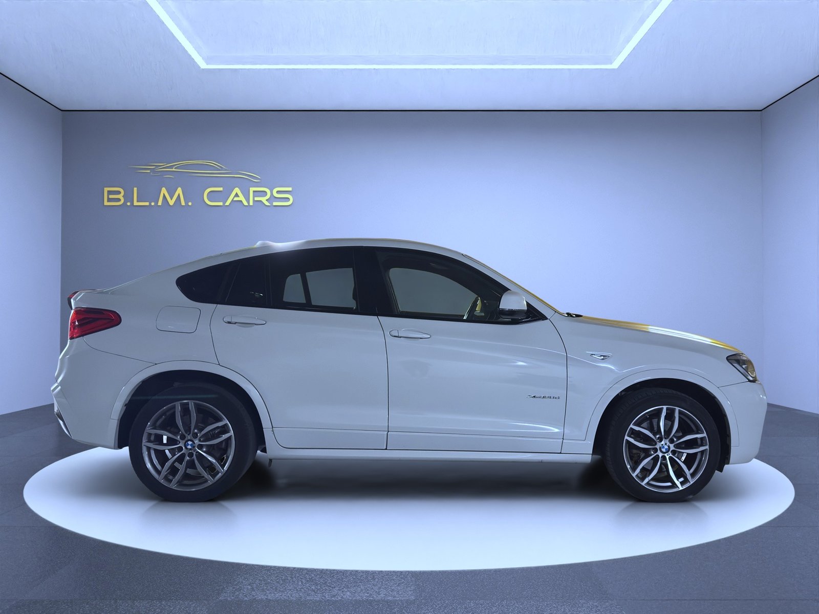 BMW X4 20d M Sport Steptronic, Diesel, Occasioni / Usate, Automatico - 7