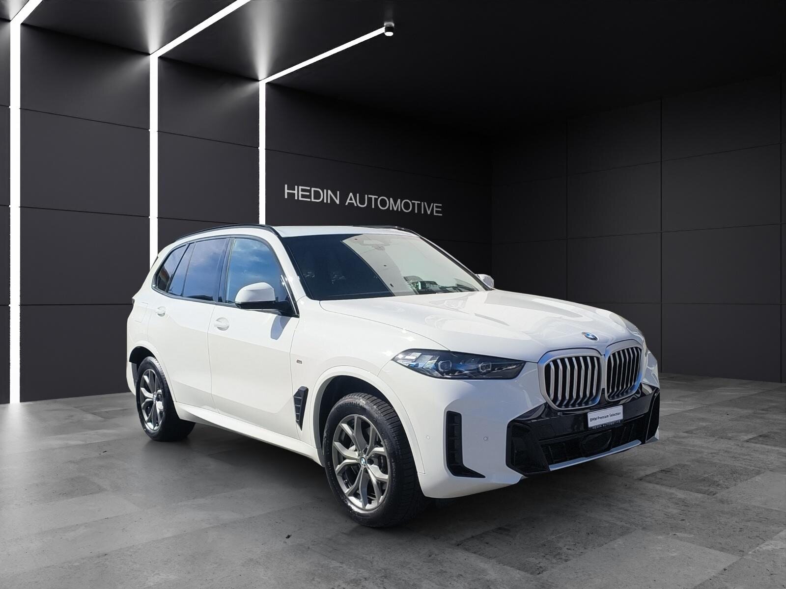 BMW X5 30d xDrive, Diesel, Occasioni / Usate, Automatico - 7