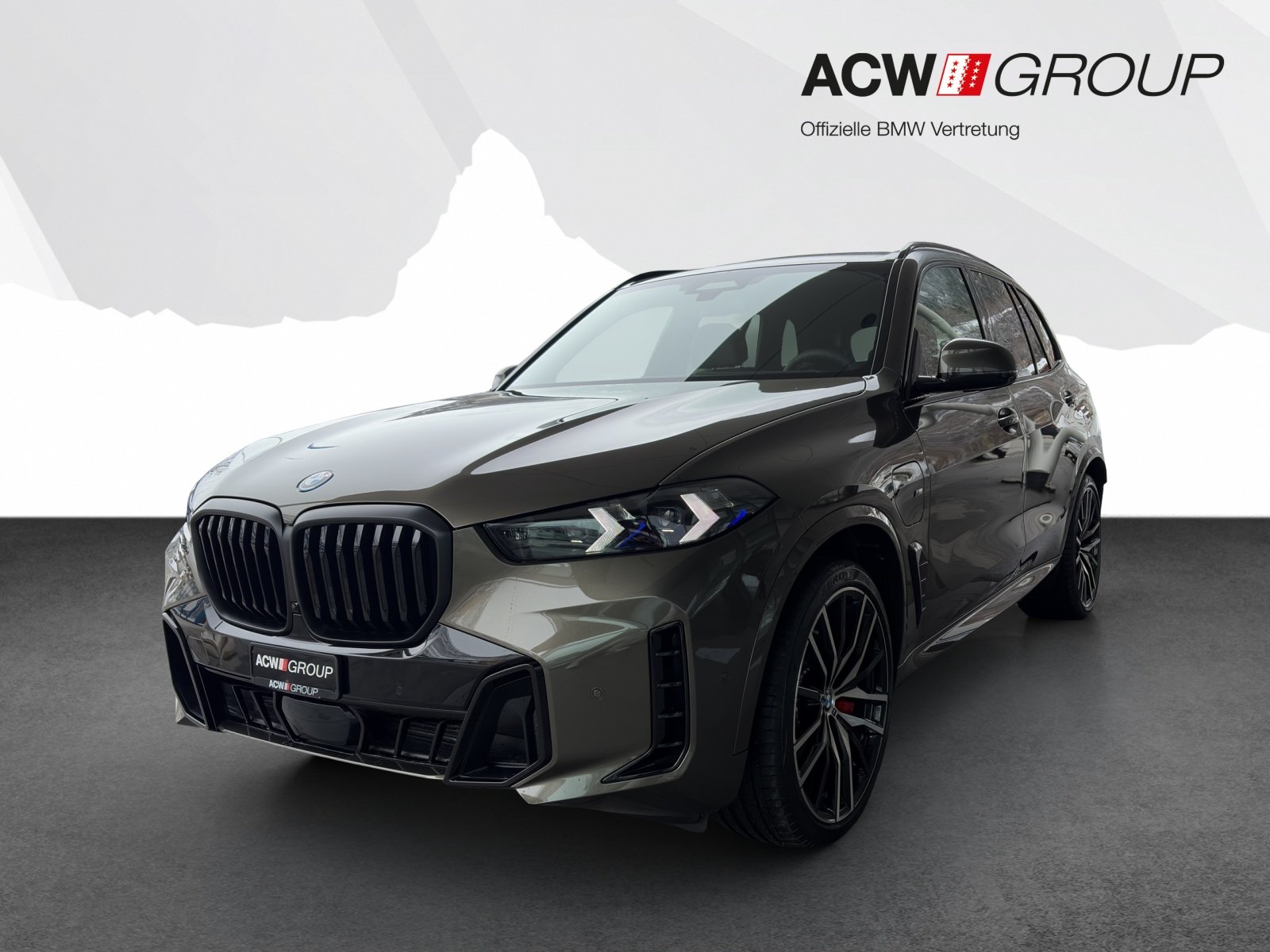 BMW X5 50e