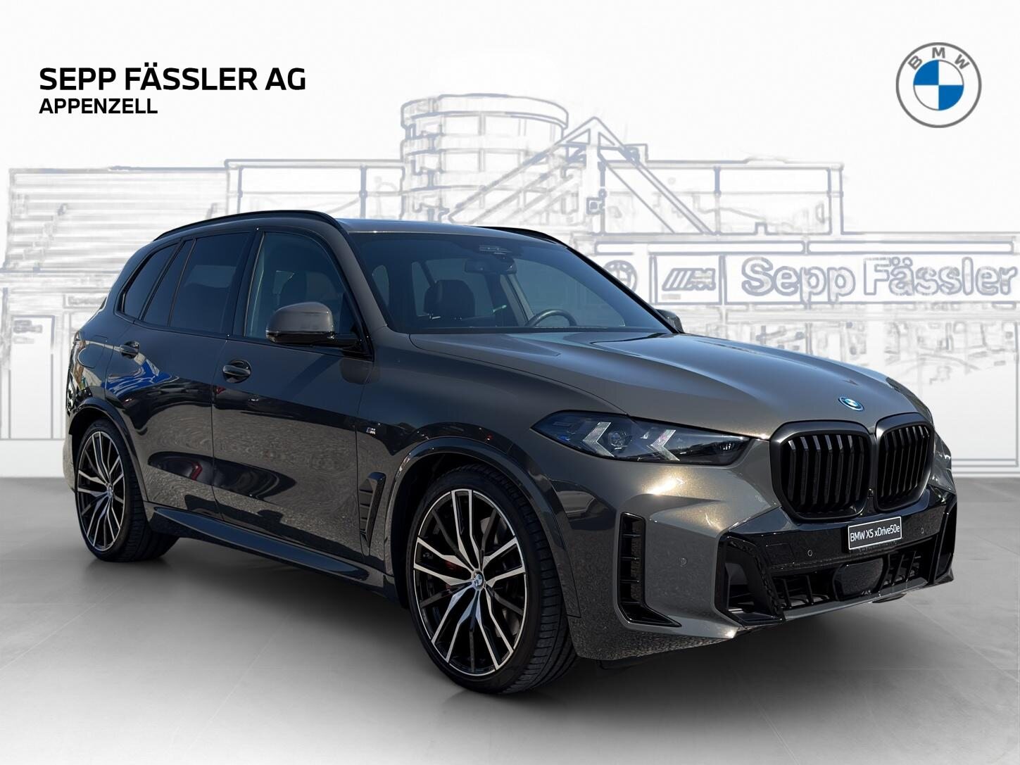 BMW X5 50e xDrive SAG, Plug-in-Hybrid Petrol/Electric, New car, Automatic - 7