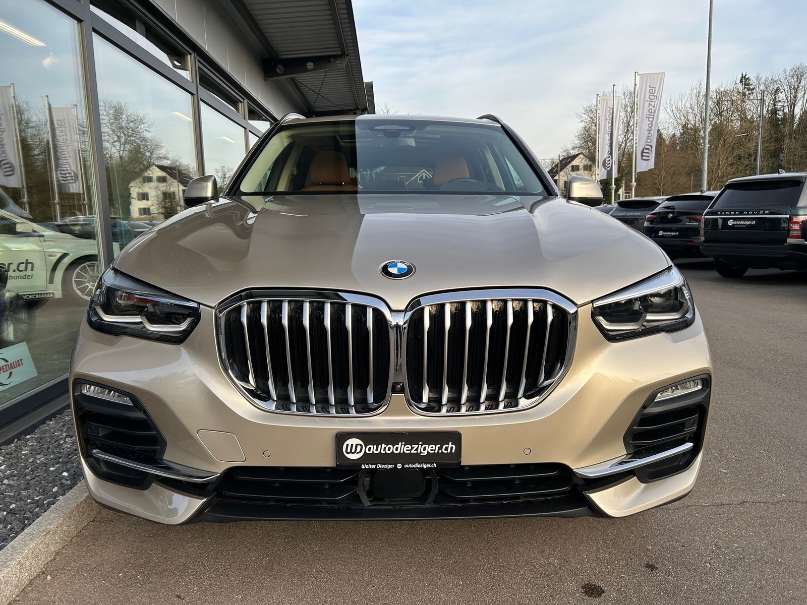 BMW X5 40i Steptronic, Benzina, Occasioni / Usate, Automatico - 5