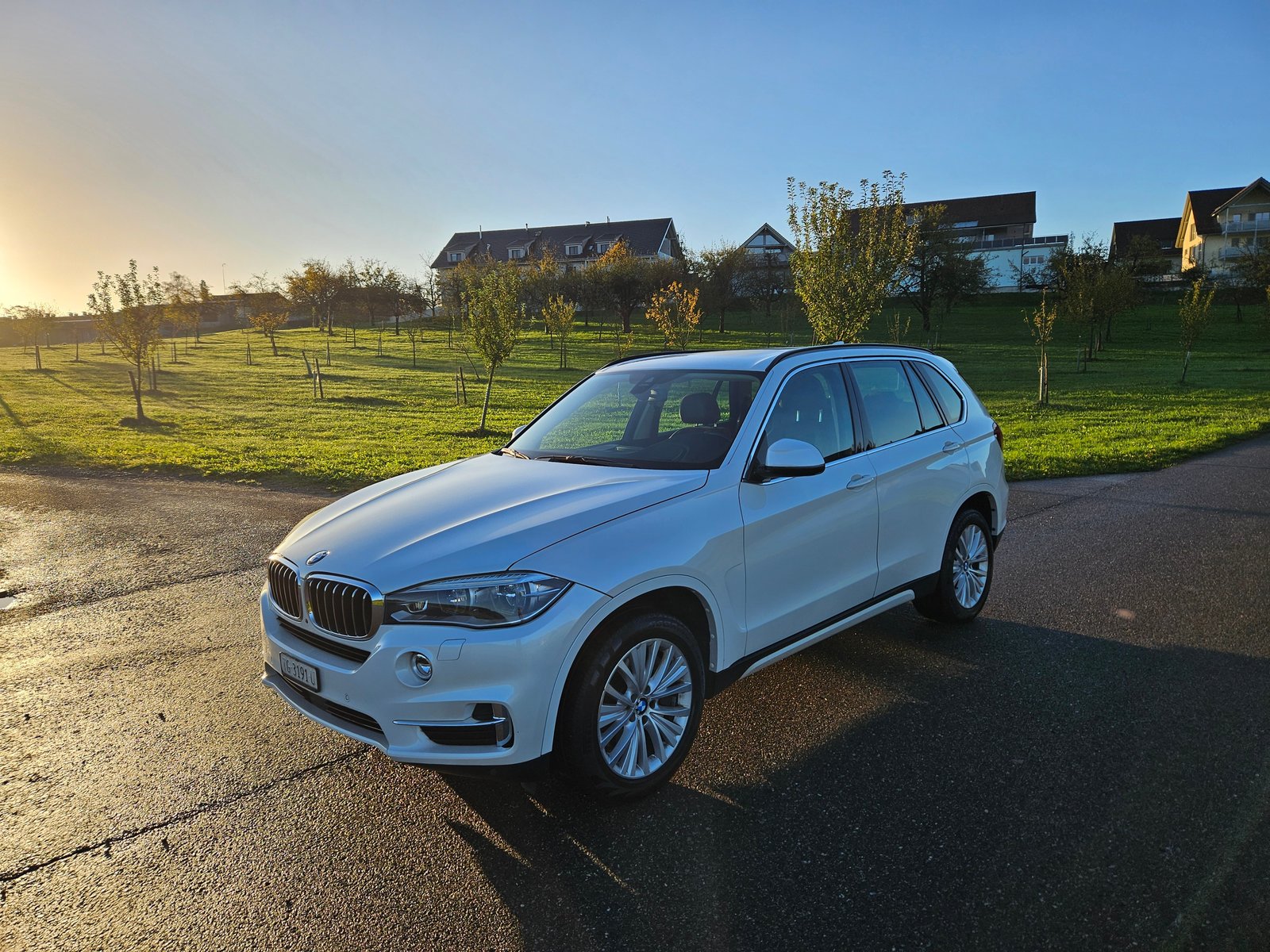 BMW X5 50i Steptronic, Essence, Occasion / Utilisé, Automatique - 5