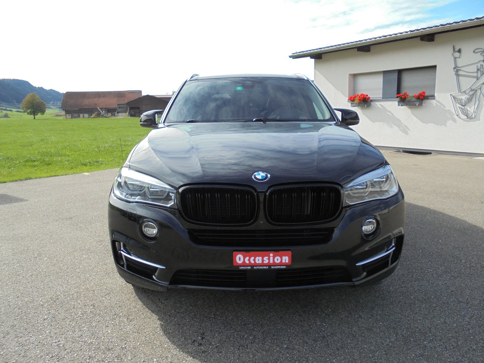 BMW X5 30d Steptronic, Diesel, Occasion / Utilisé, Automatique - 2