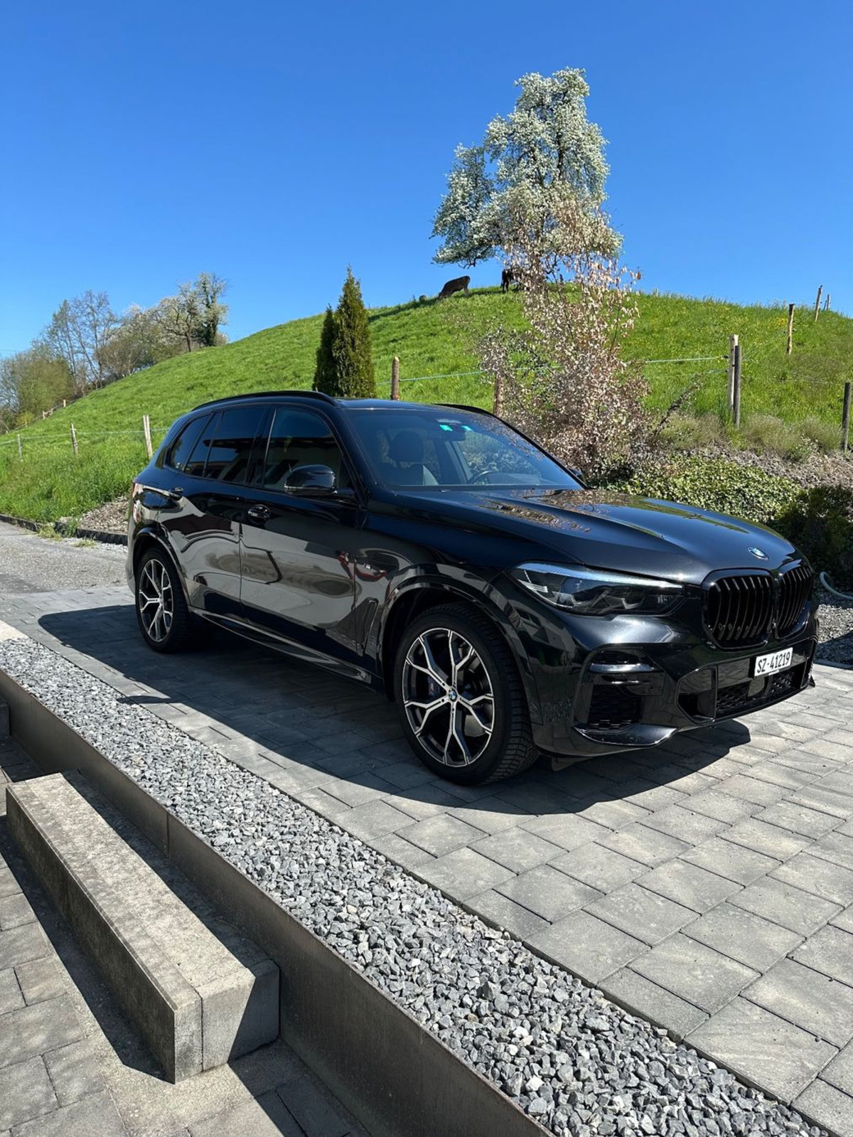 BMW X5 G05 30d, Voll-Hybrid Diesel/Elektro, Occasion / Gebraucht, Automatik - 3