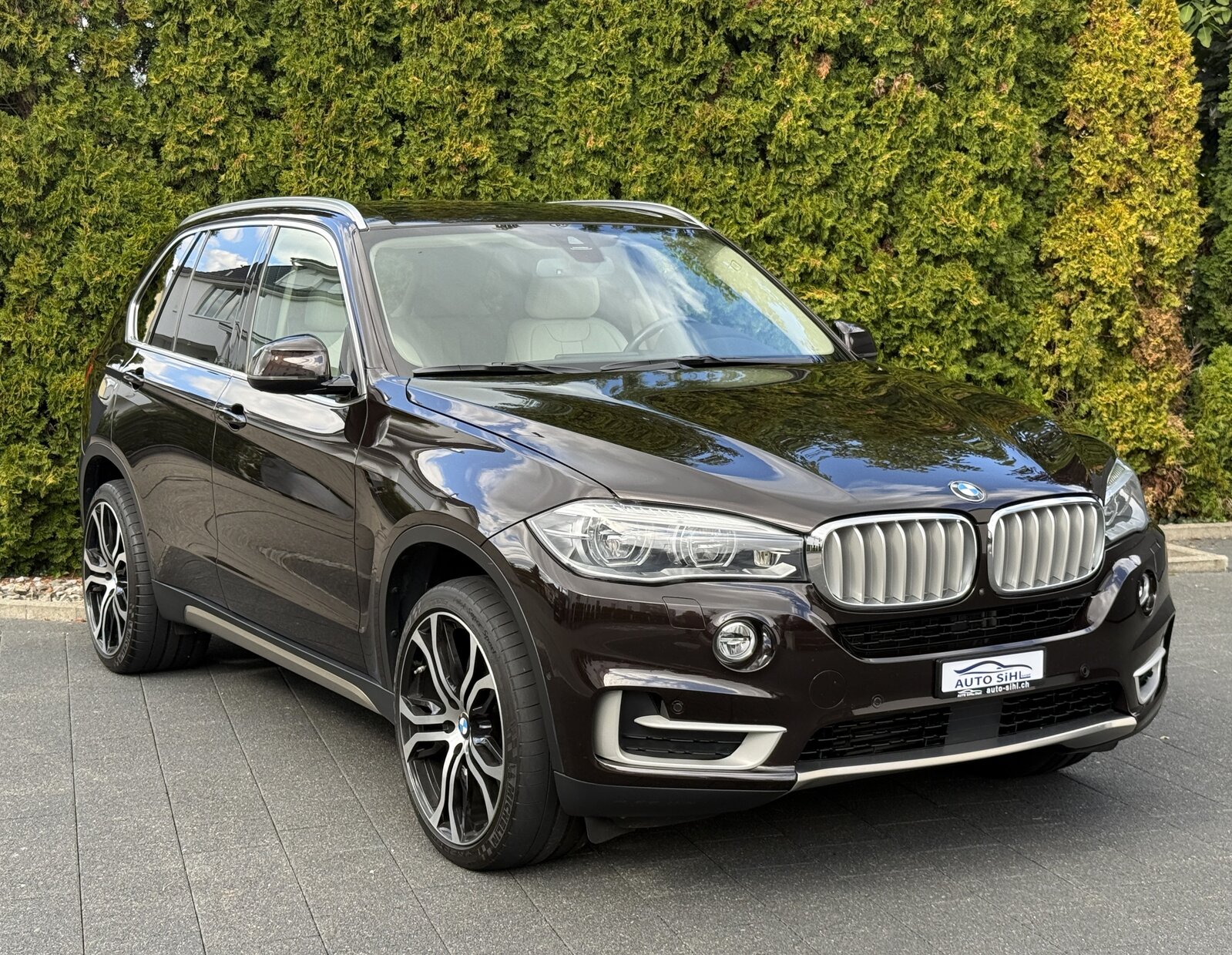 BMW X5 40d Steptronic / Frisch ab MFK / AHK, Diesel, Occasion / Gebraucht, Automatik - 5
