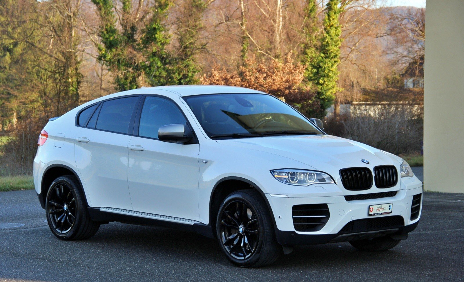 BMW X6 M50d Steptronic, Diesel, Occasion / Gebraucht, Automatik - 7