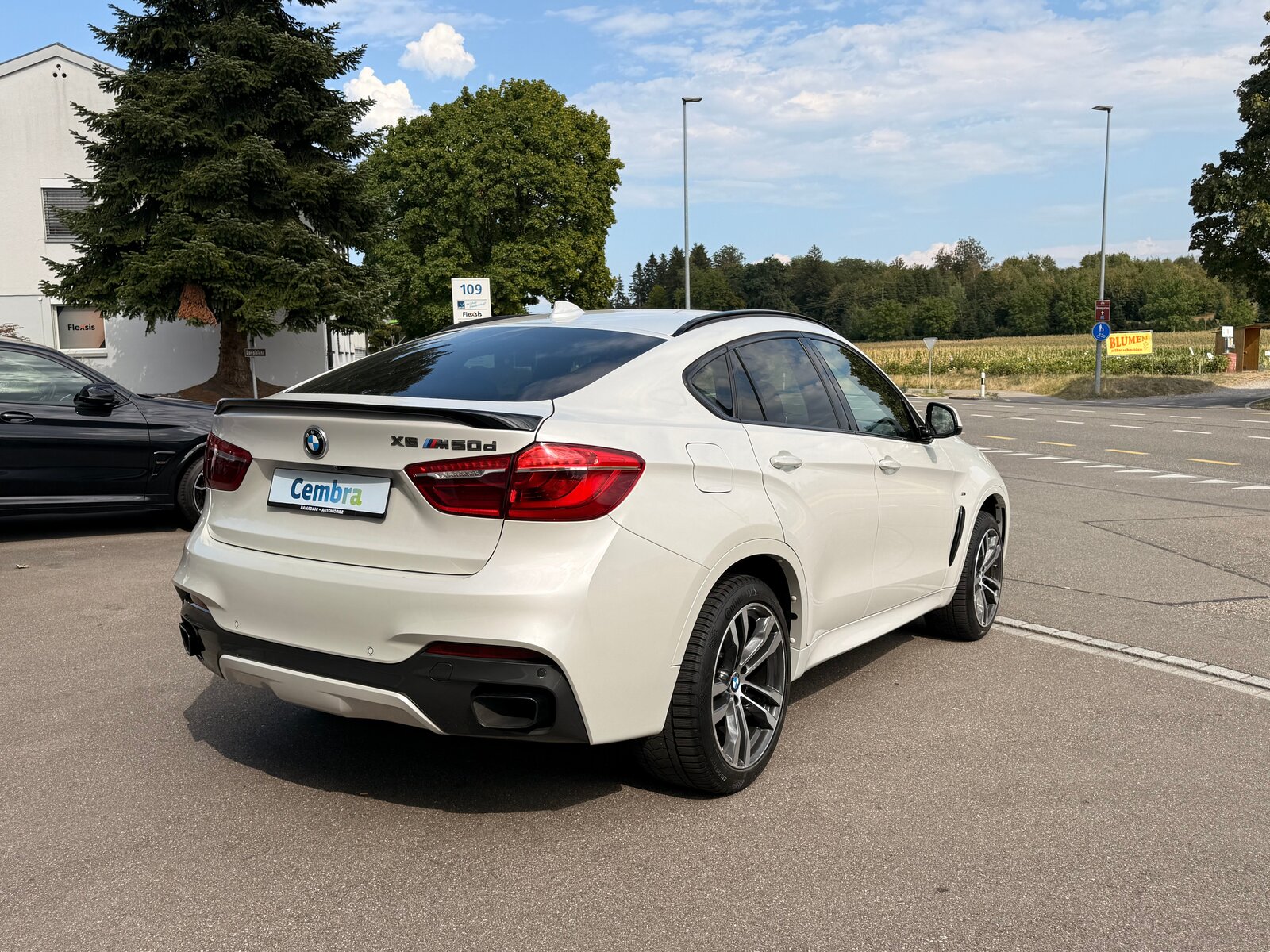 BMW X6 M50d Steptronic, Diesel, Occasion / Gebraucht, Automatik - 2
