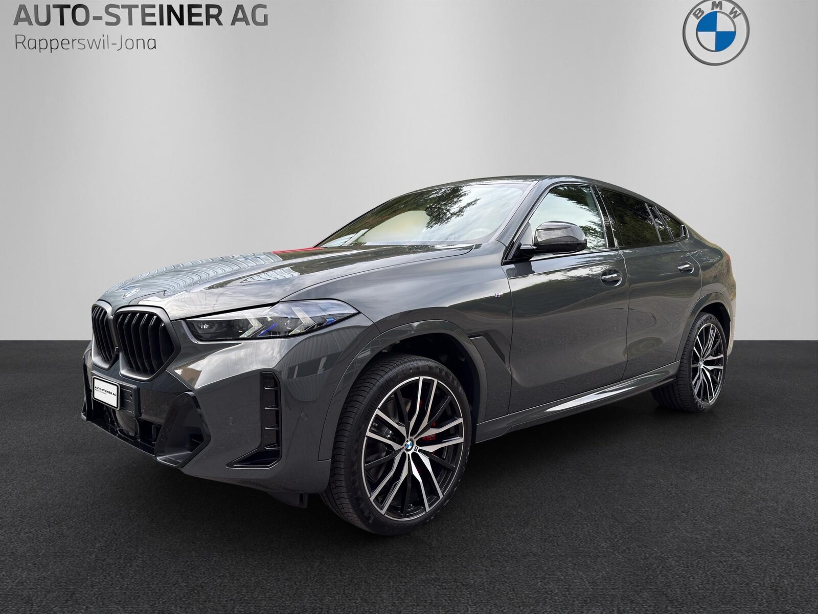 BMW X6 G06 40d xDrive M Sportpaket Pro