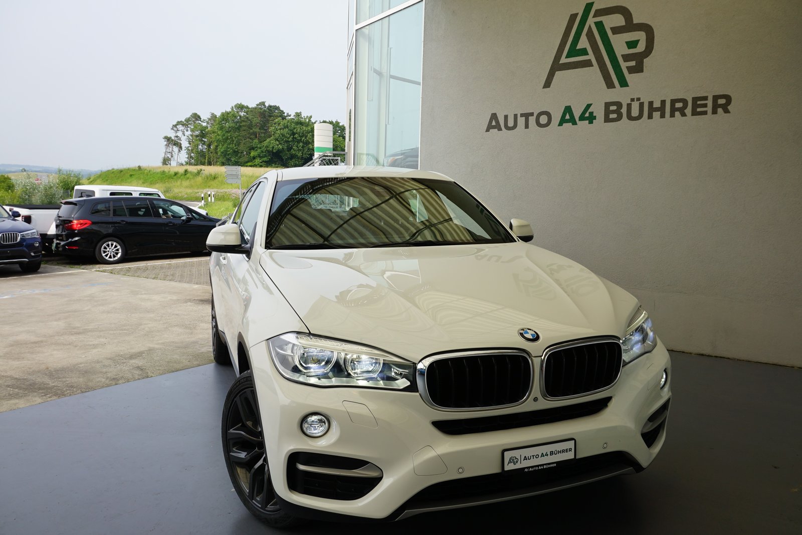 BMW X6 30d 258PS 5-Plätzer, Diesel, Occasion / Gebraucht, Automatik - 3
