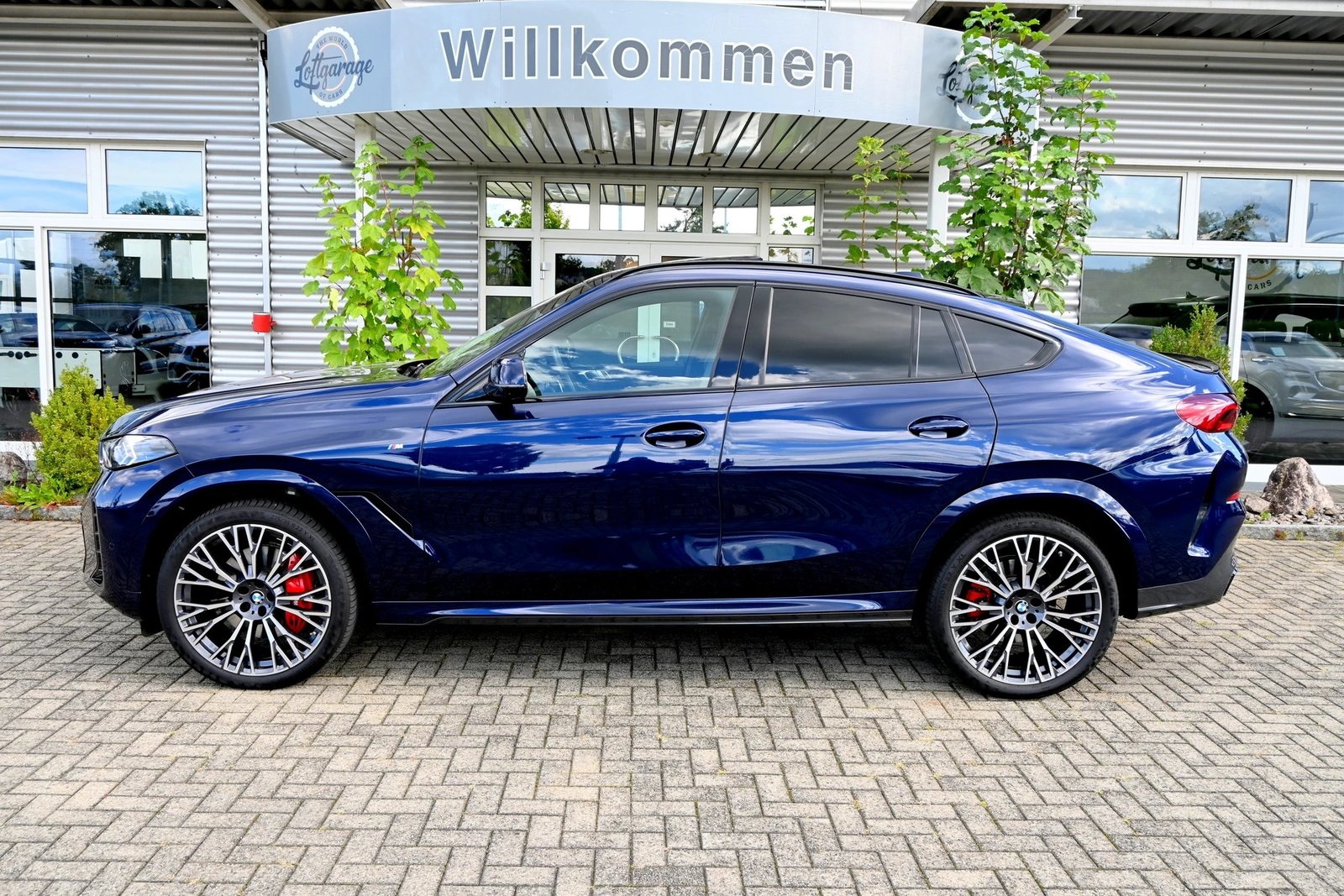 BMW X6 48V 40d M Sport Pro Steptronic 340PS, Mild-Hybrid Diesel/Elektro, Occasion / Gebraucht, Automatik - 6