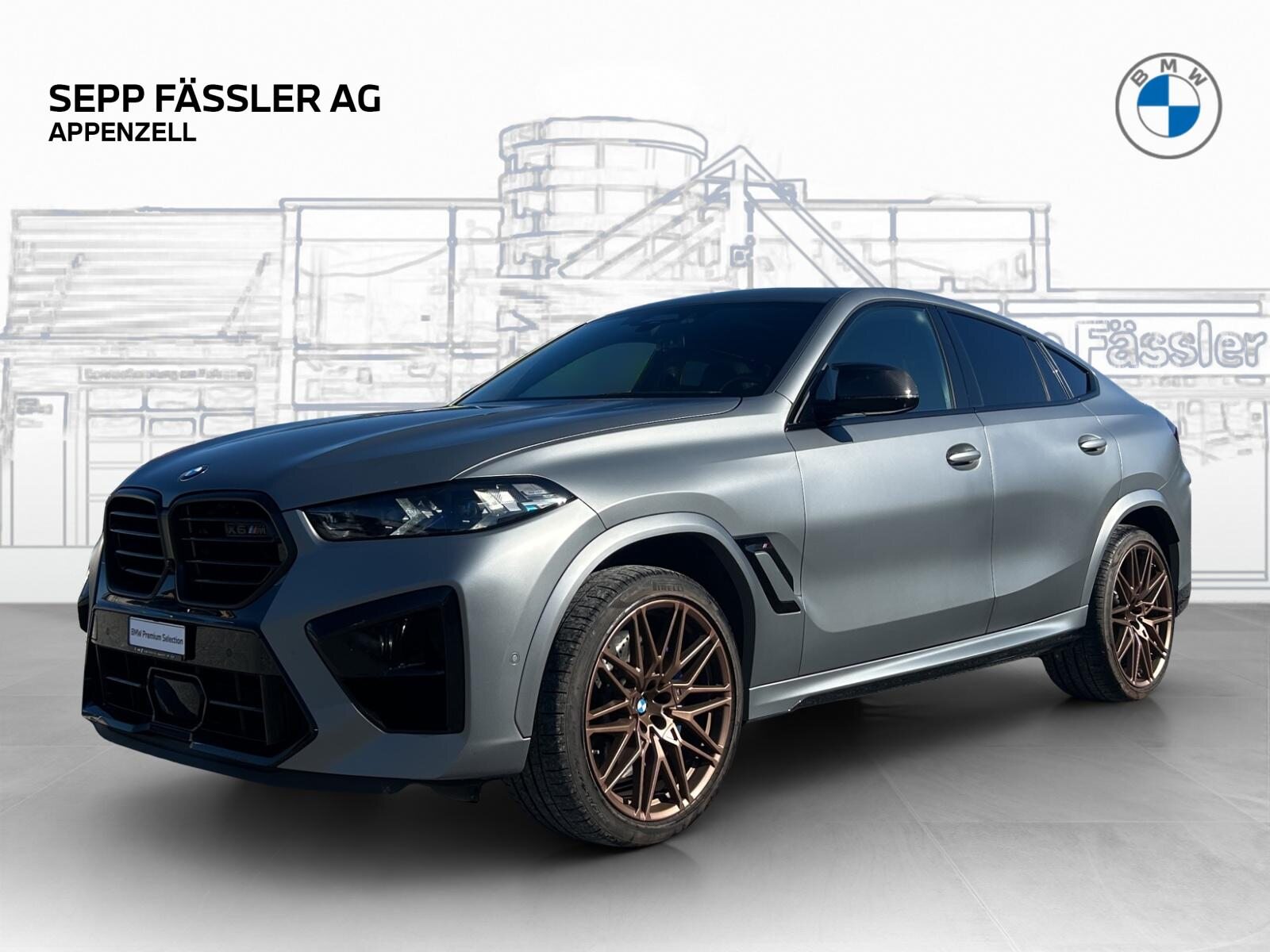 BMW X6 M