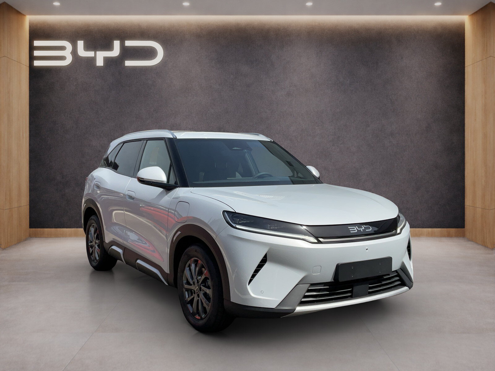 BYD Atto 2 DM-i Boost, Plug-in-Hybrid Petrol/Electric, New car, Automatic - 7
