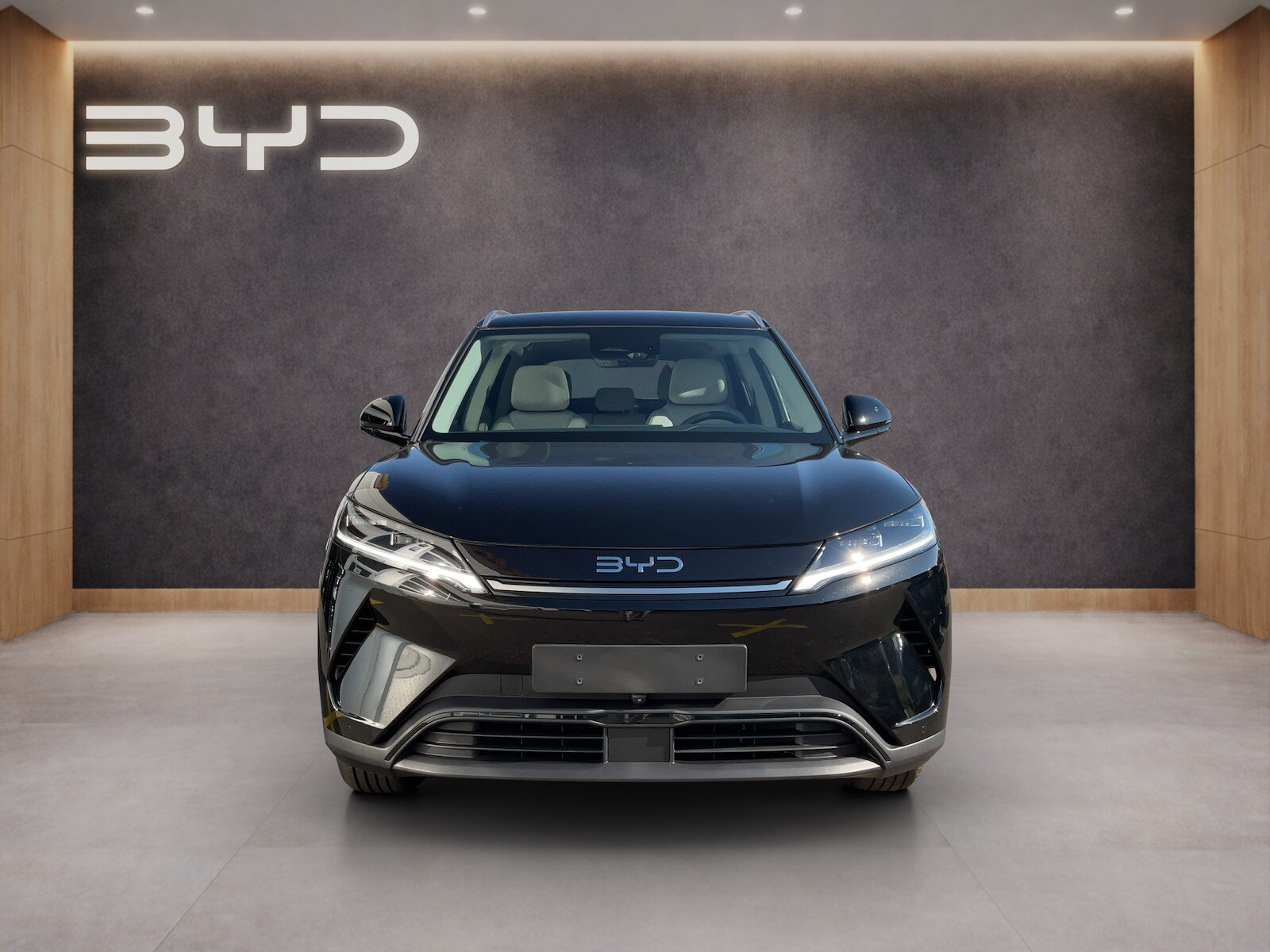 BYD Atto 2 Comfort, Electric, New car, Automatic - 2