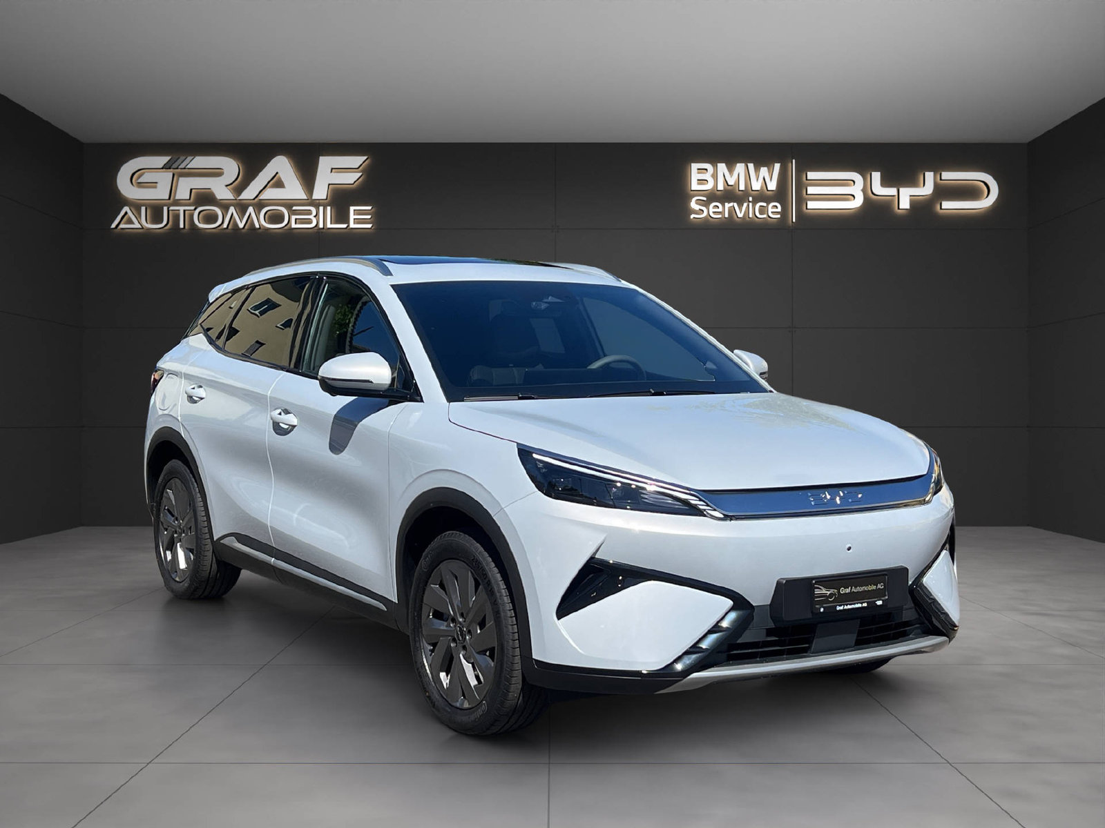 BYD Atto 3 EVO Excellence, Elettrica, Auto nuove, Automatico - 3