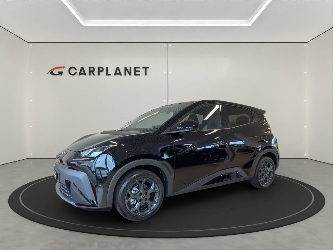 BYD Dolphin Surf Comfort