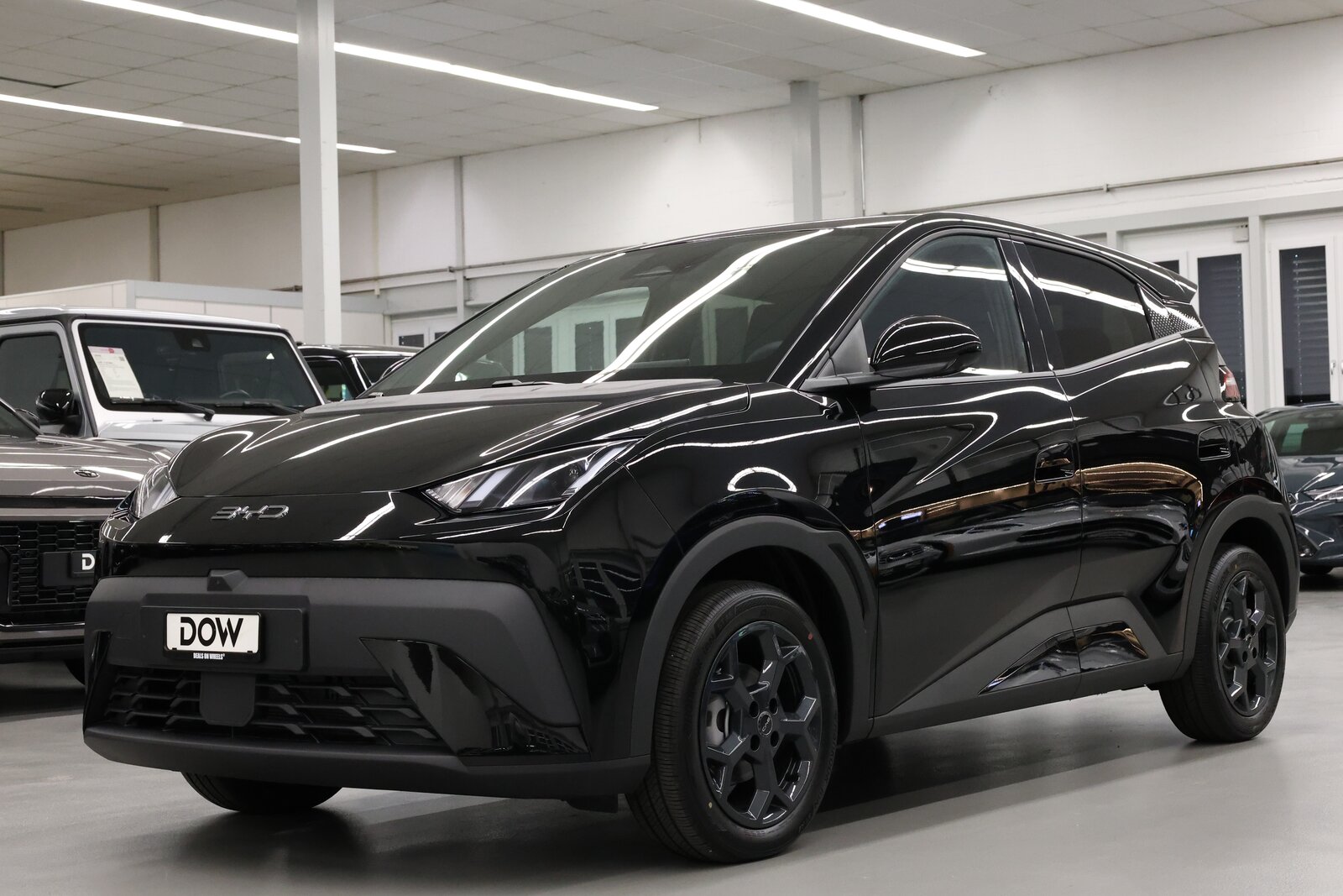 BYD Dolphin Surf Comfort, Elektro, Neuwagen, Automatik - 2