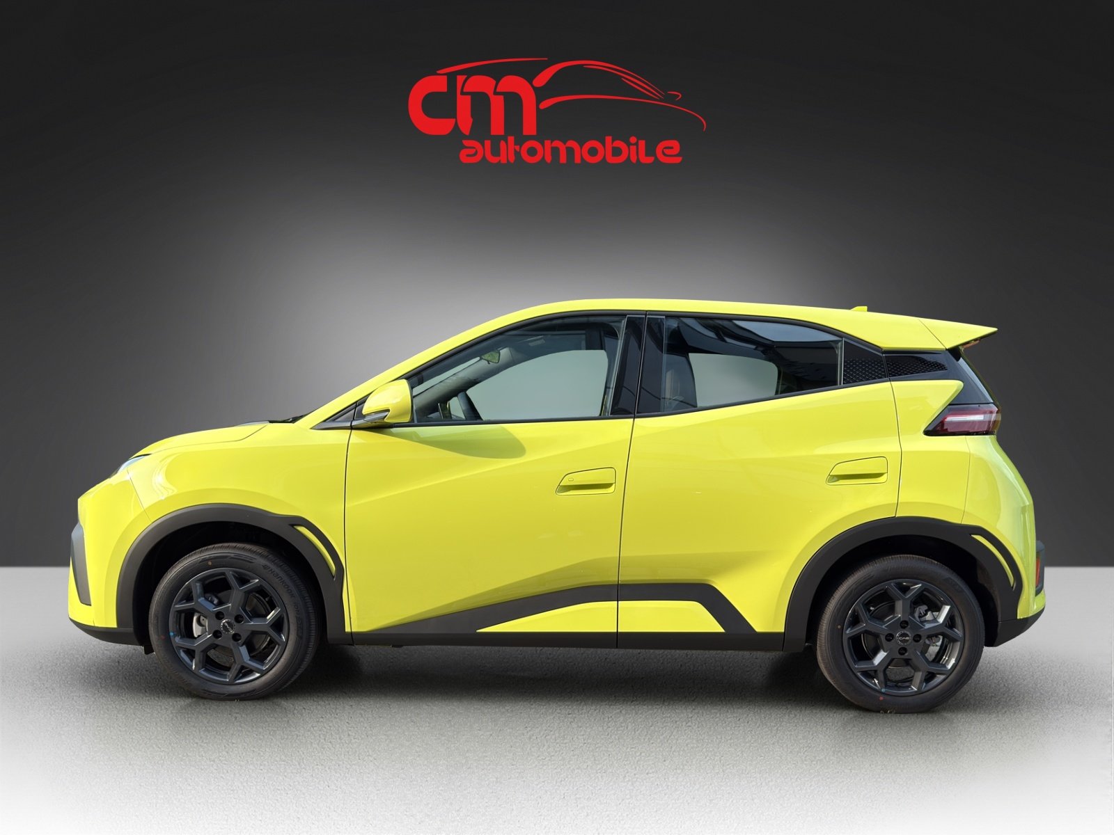 BYD Dolphin Surf 30 kWh Active, Elettrica, Auto nuove, Automatico - 7