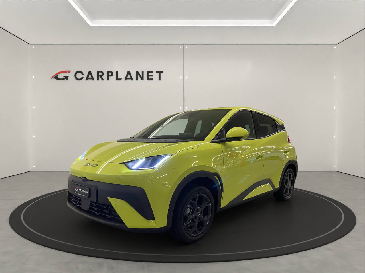 BYD Dolphin Surf Comfort CH FAHRZEUG, Elettrica, Auto nuove, Automatico