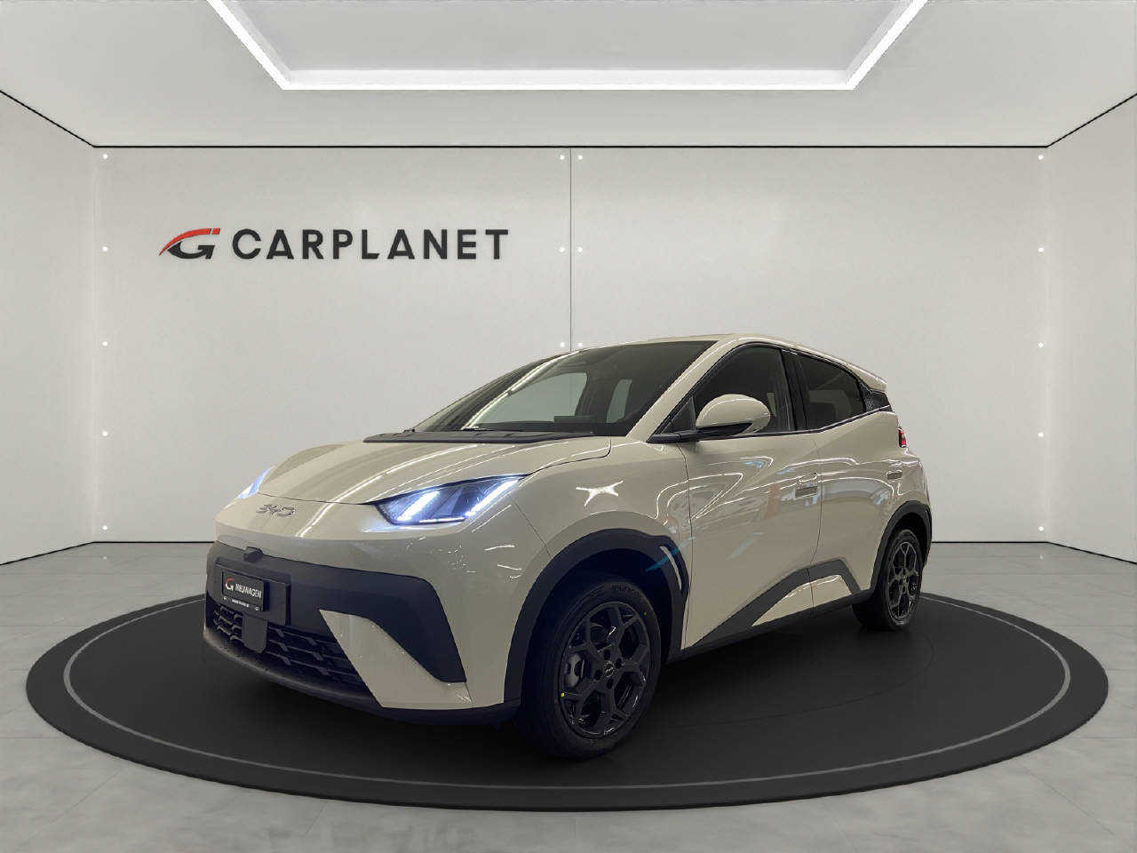 BYD Dolphin Surf Comfort, Elettrica, Auto nuove, Automatico