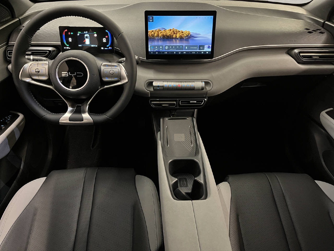 BYD Dolphin Surf Comfort CH FAHRZEUG, Elettrica, Auto nuove, Automatico - 6