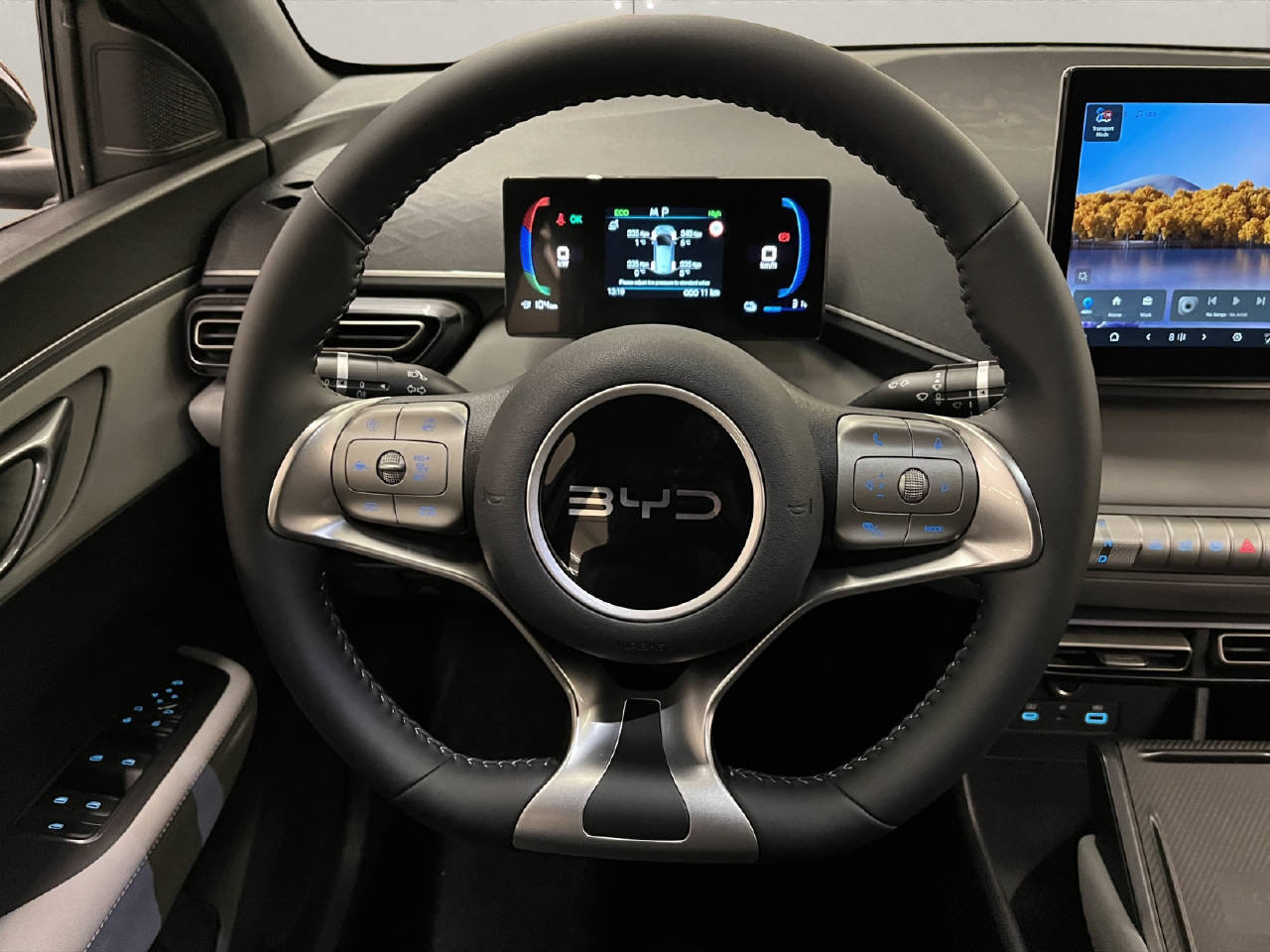 BYD Dolphin Surf Comfort CH FAHRZEUG, Elettrica, Auto nuove, Automatico - 7