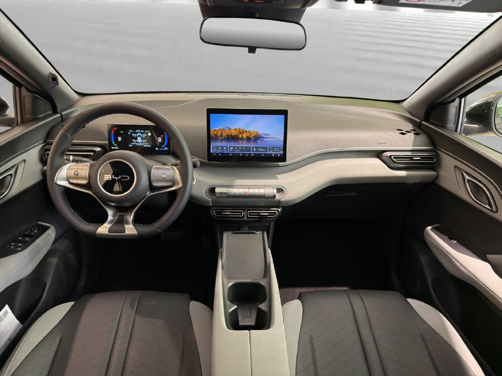 BYD Dolphin Surf Active, Elettrica, Auto nuove, Automatico - 5
