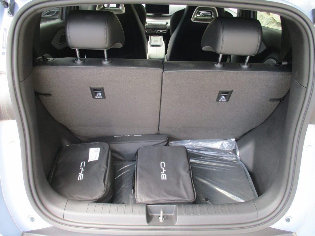 BYD Comfort, Electric, New car, Automatic - 7