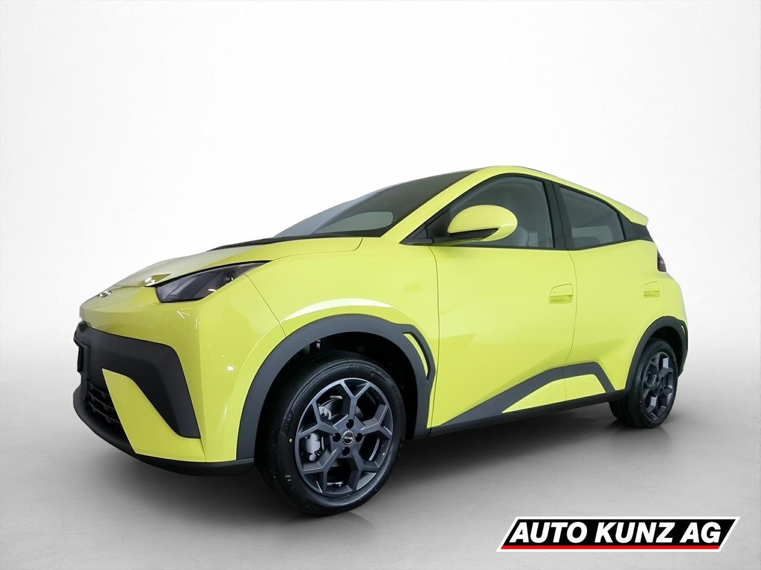BYD Dolphin Surf 43 kWh Boost