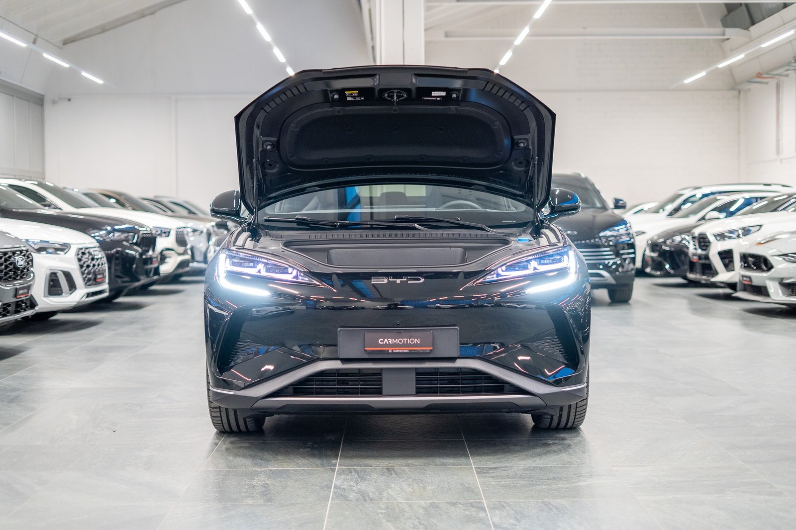 BYD Sealion 7 91,3 kWh Excellence AWD | Head-Up Display, Elettrica, Auto nuove, Automatico - 3