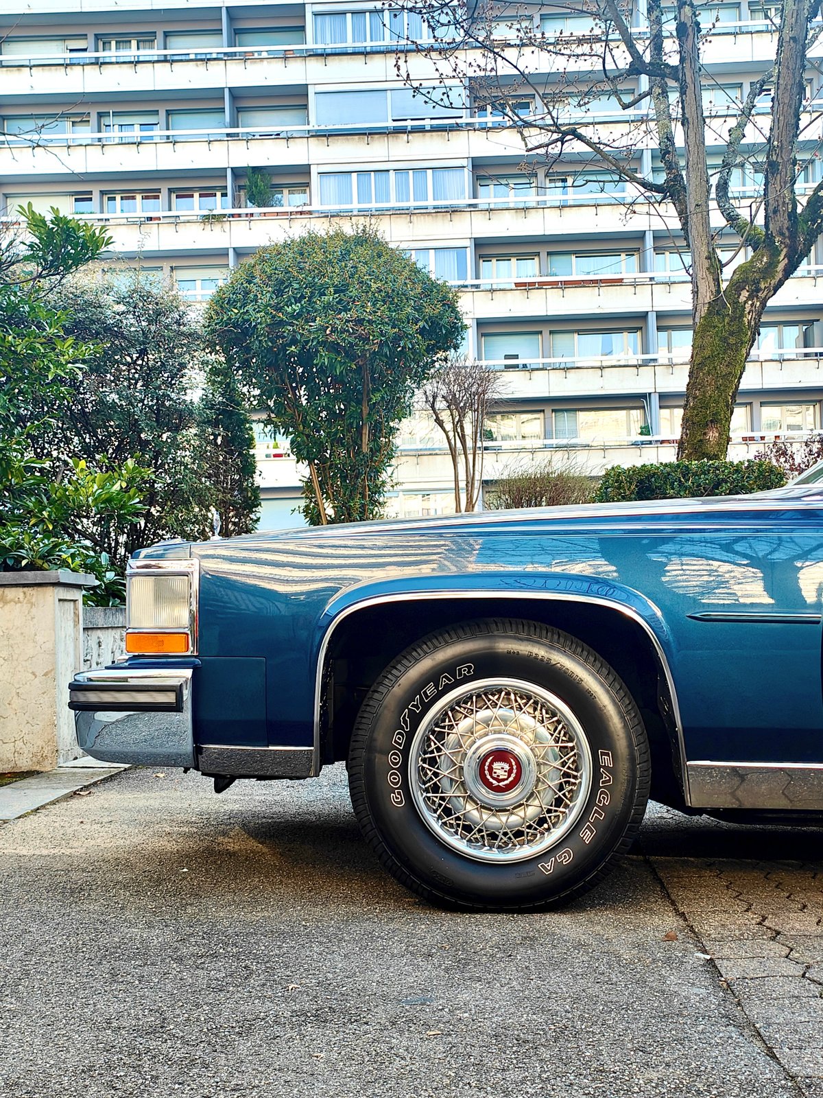 CADILLAC Brougham d' Elegance, Benzina, Occasioni / Usate, Automatico - 3