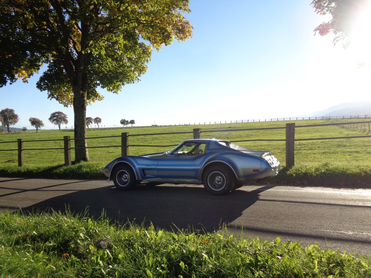 CHEVROLET CORVETTE C3 Stingray Targa, Benzin, Occasion / Gebraucht, Automat - 4