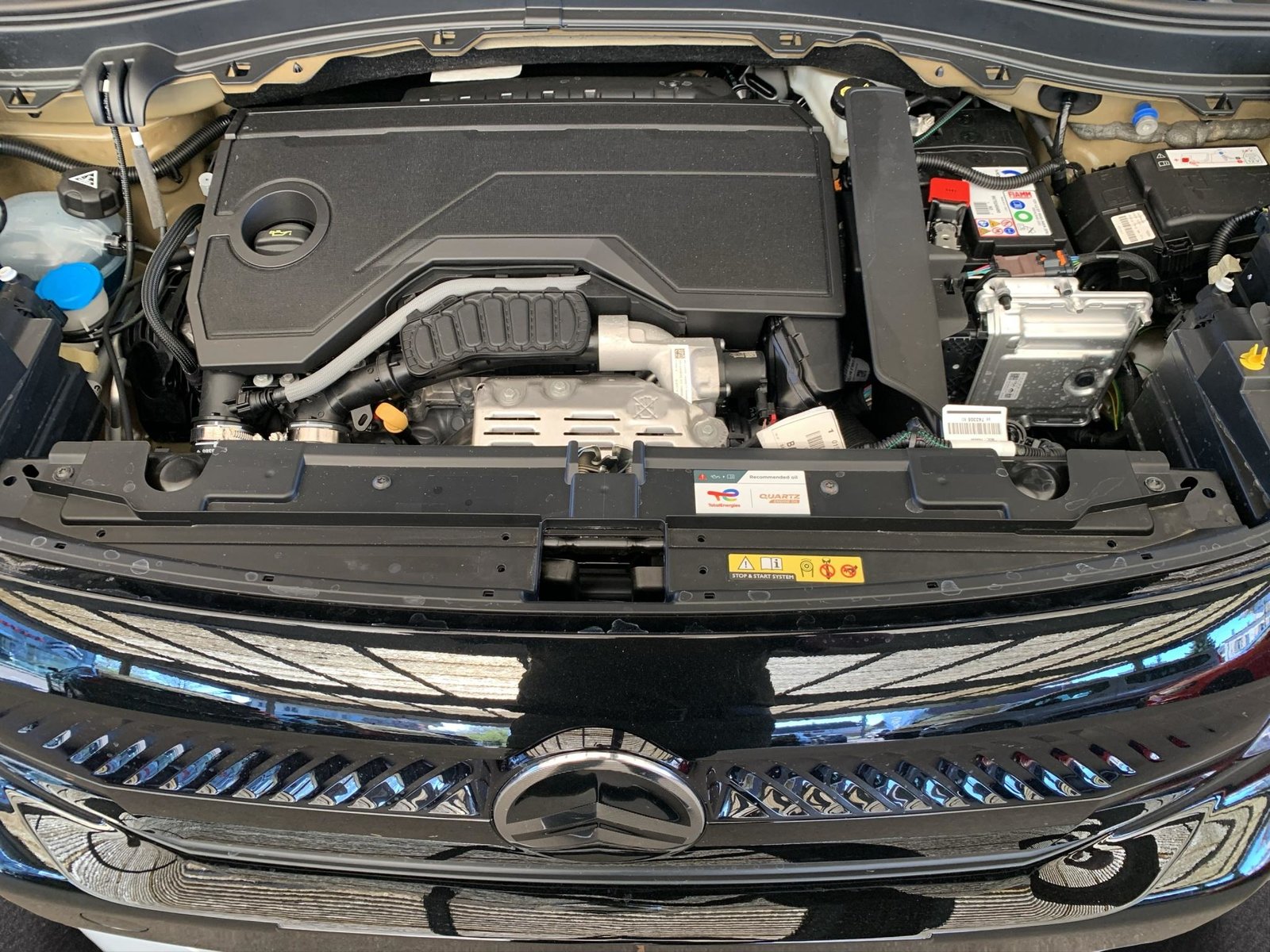 CITROEN C3 1.2 Hybrid Max, Mild-Hybrid Benzin/Elektro, Neuwagen, Automatik - 5