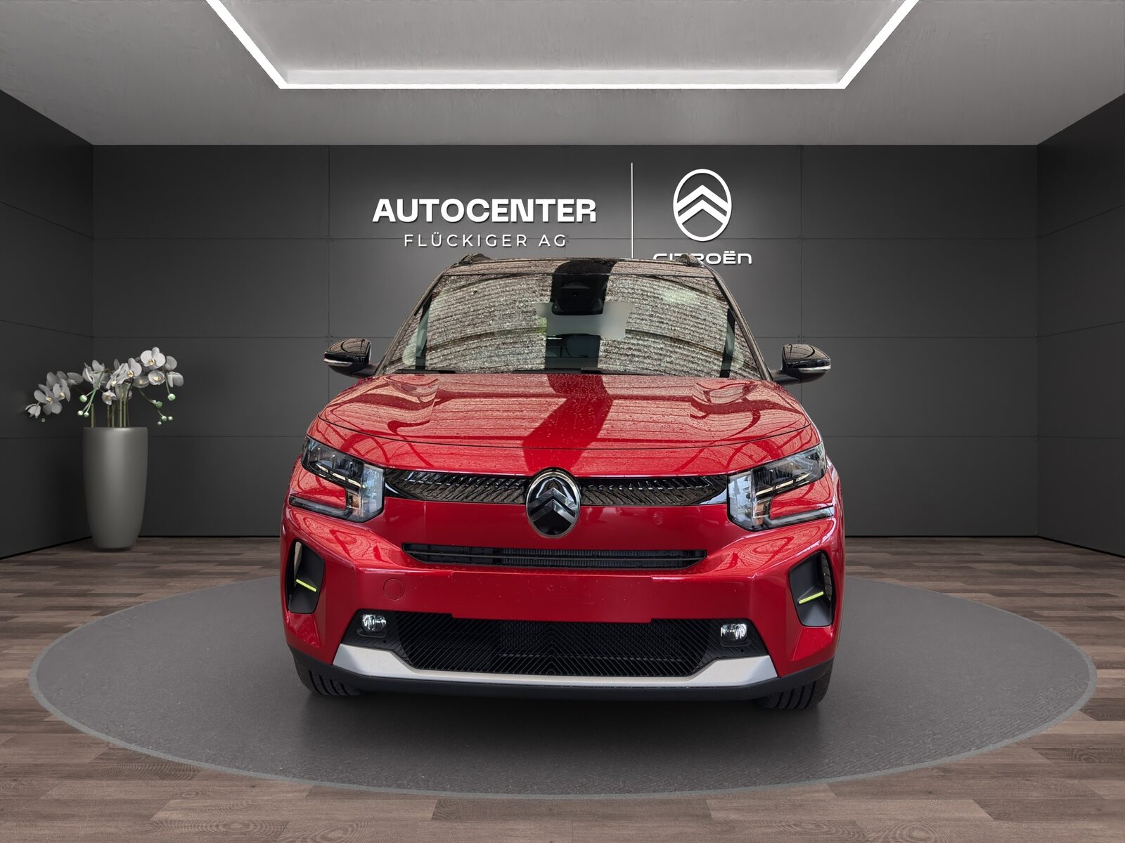 CITROEN e-C3 long range Max, Electric, New car, Automatic - 7