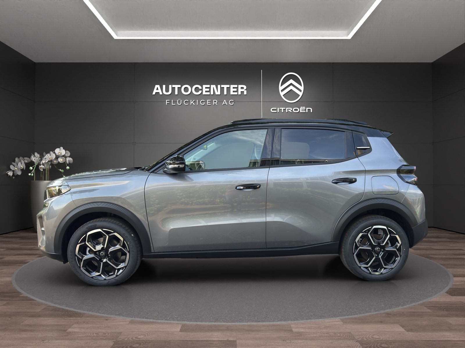 CITROEN e-C3 long range Max, Electric, New car, Automatic - 6