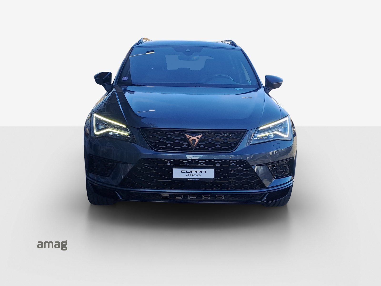 CUPRA ATECA, Benzina, Occasioni / Usate, Automatico - 7