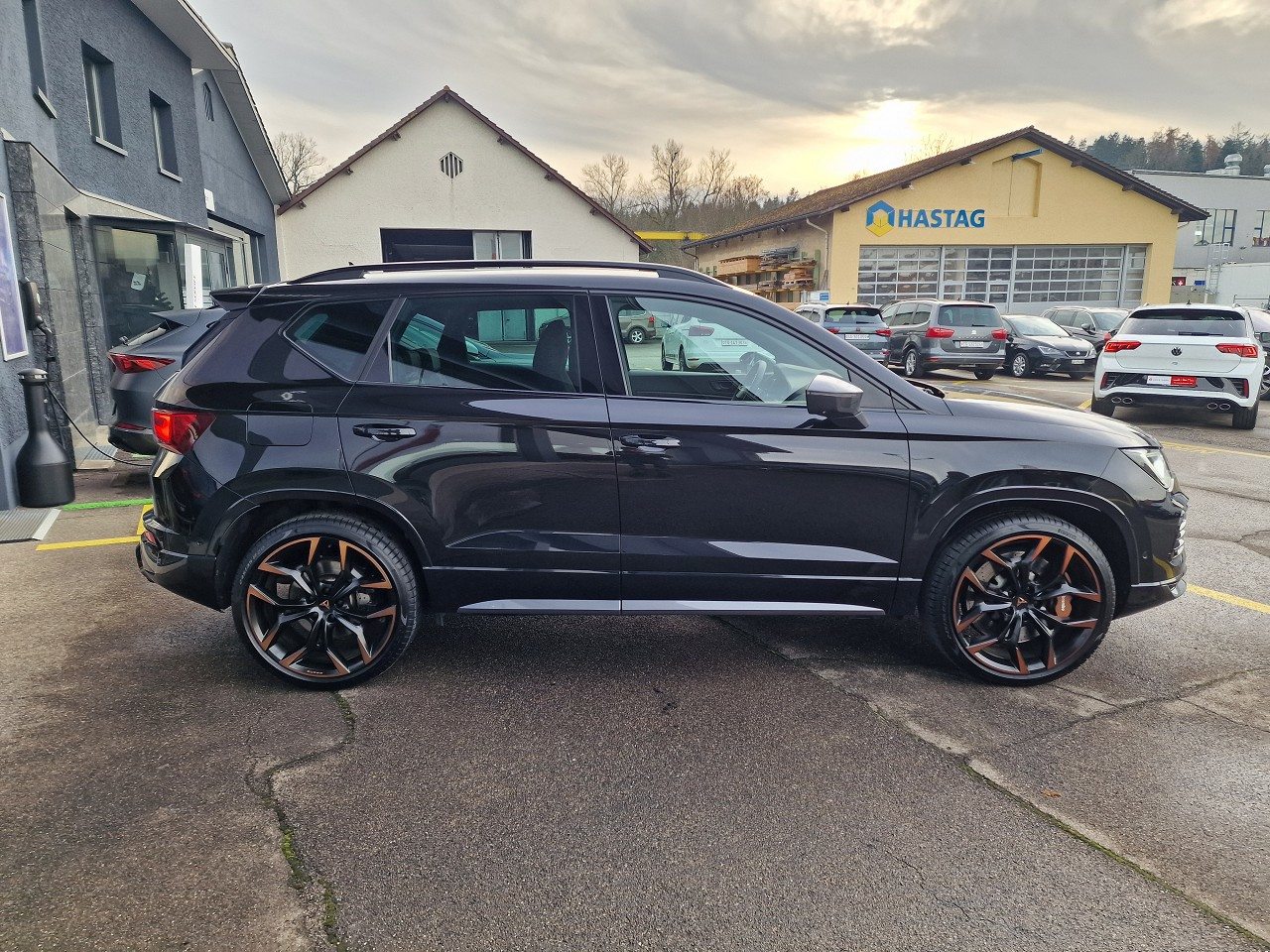 CUPRA ATECA, Benzina, Occasioni / Usate, Automatico - 7