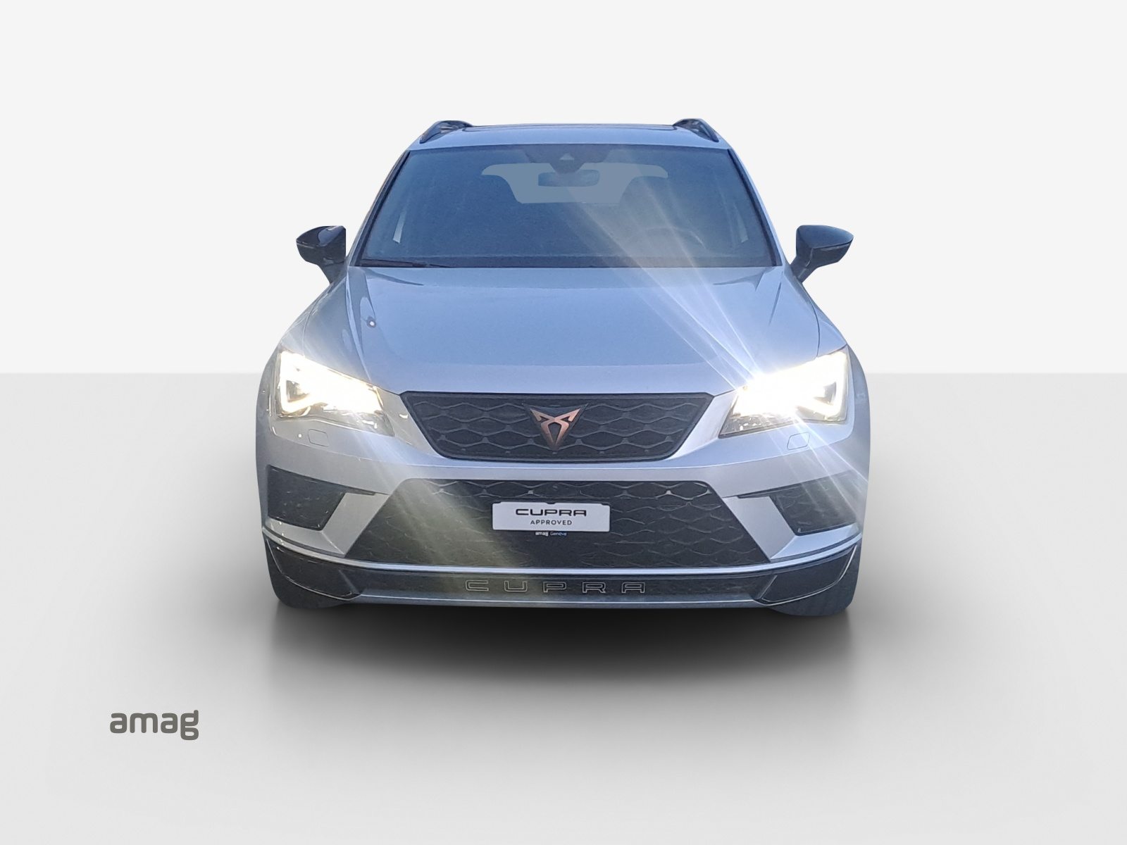 CUPRA ATECA, Benzina, Occasioni / Usate, Automatico - 7
