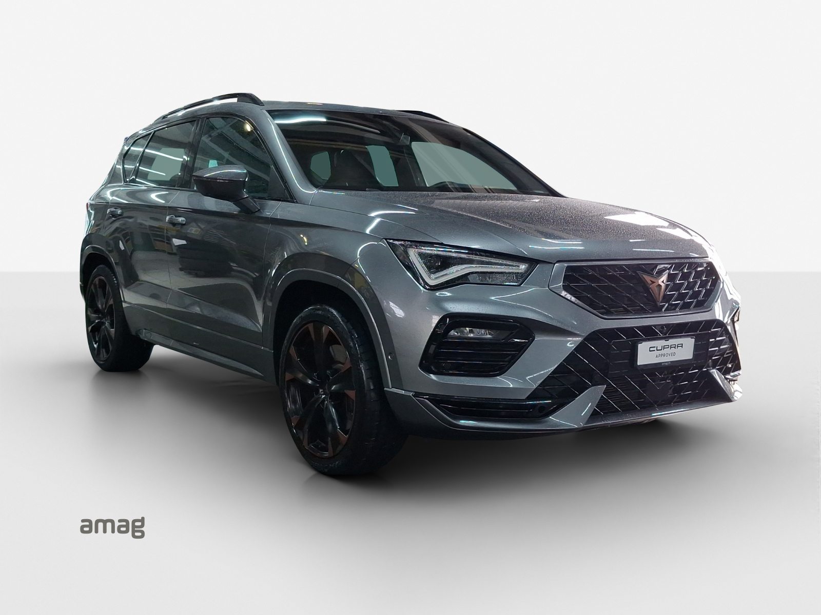 CUPRA ATECA, Benzina, Occasioni / Usate, Automatico - 7