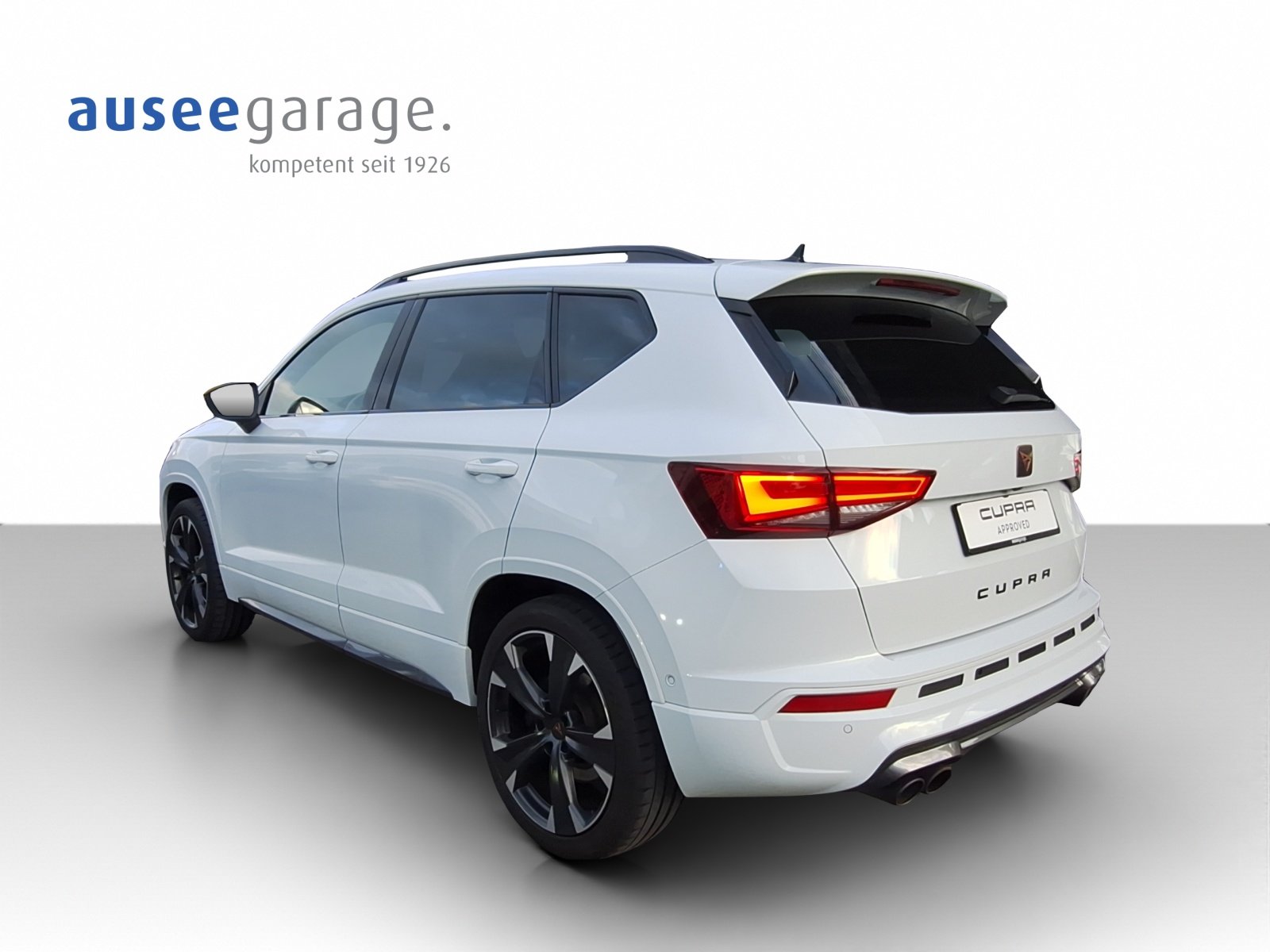 CUPRA Cupra Ateca 2.0 TSI 4Drive DSG, Benzina, Occasioni / Usate, Automatico - 3